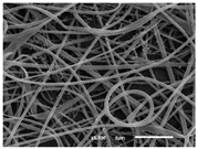 Materials 14 07147 i012