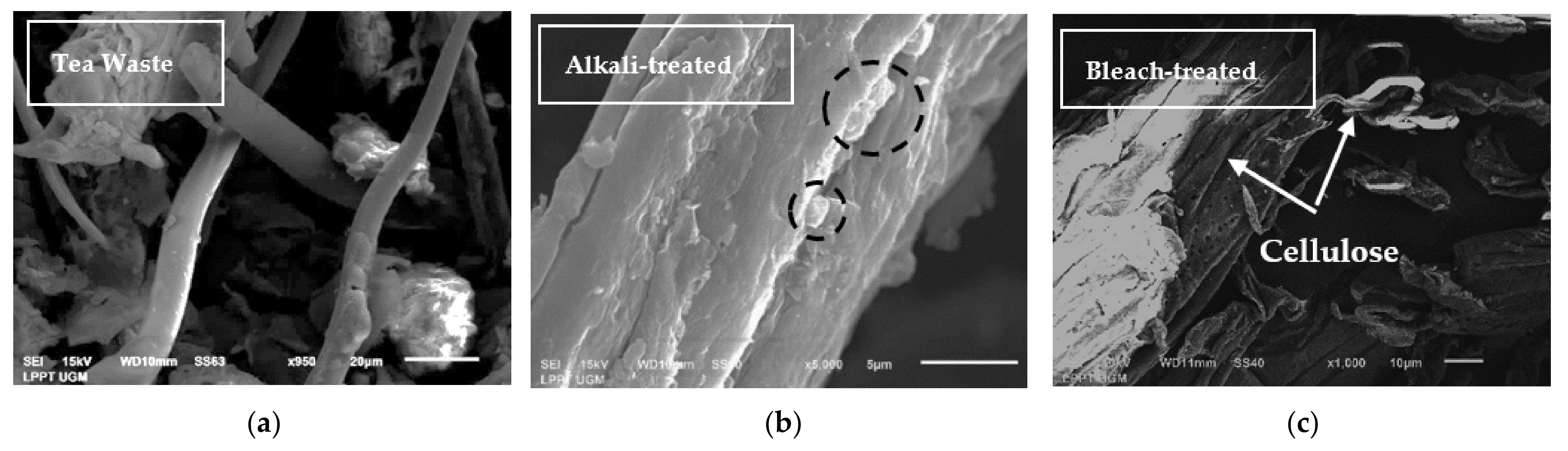 Materials 14 07154 g003