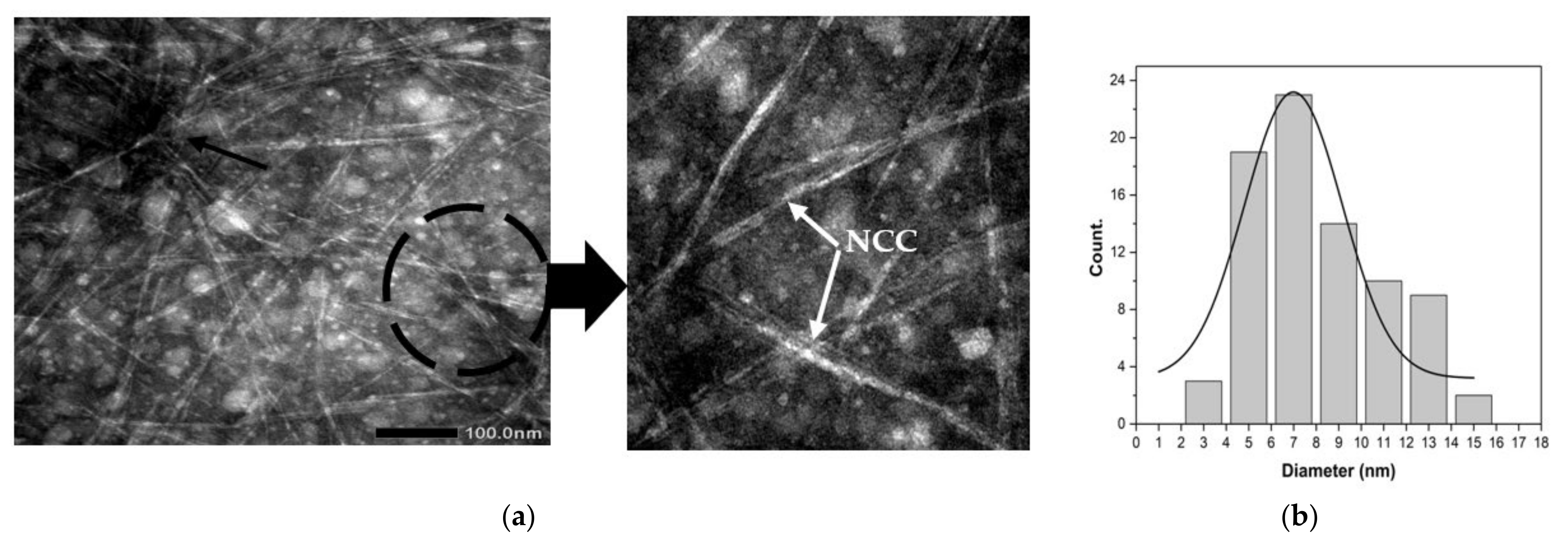 Materials 14 07154 g004