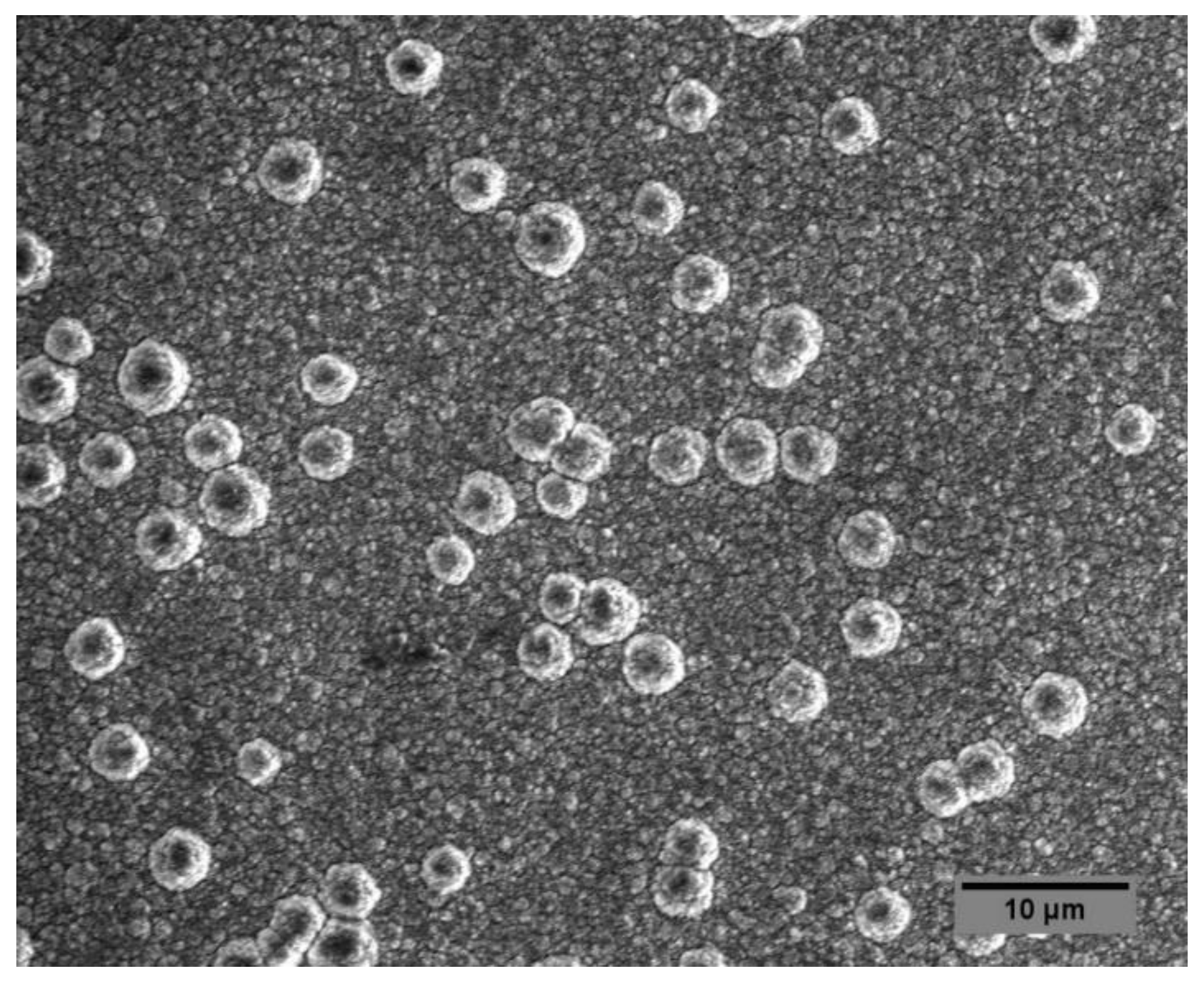 Materials 14 07167 g005 550