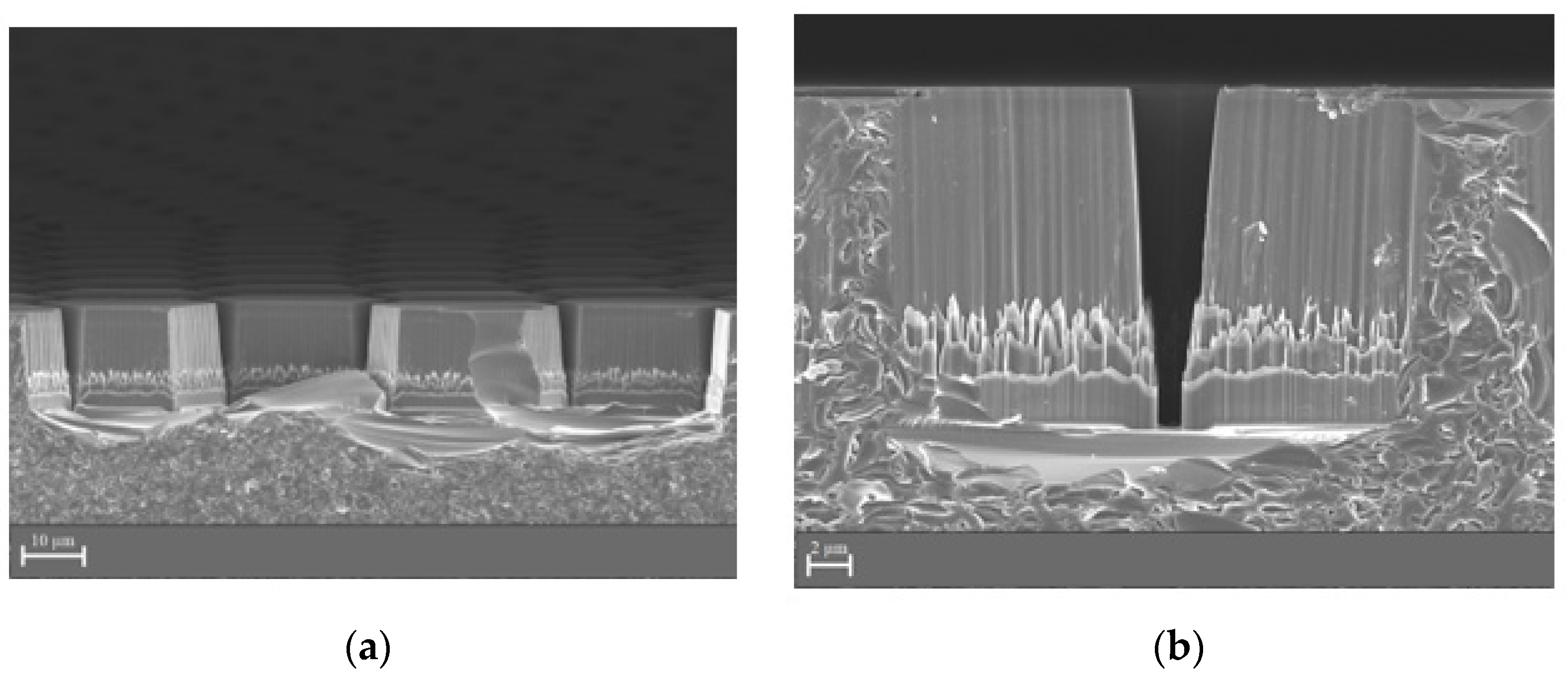 Materials 14 07178 g006