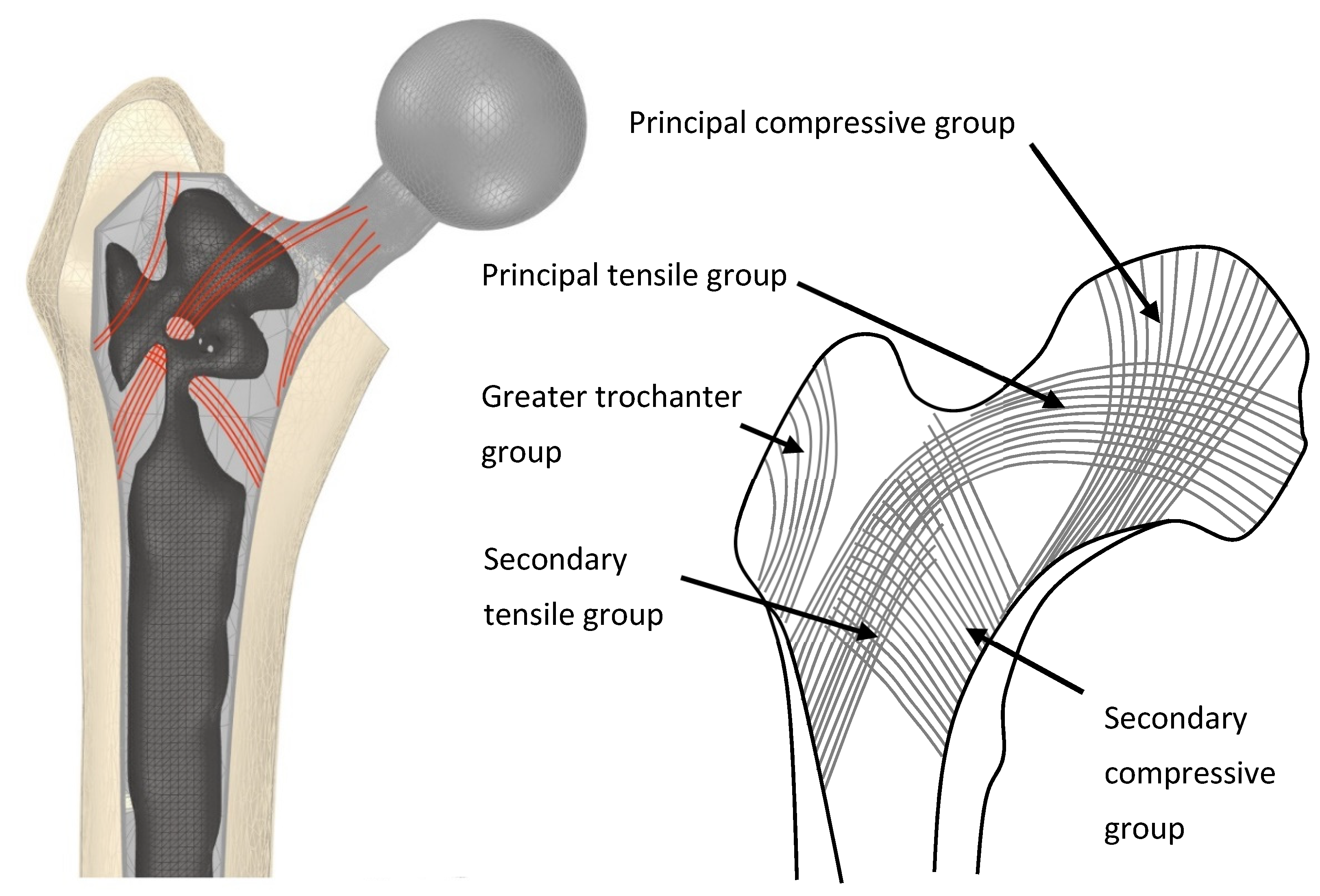 Materials 14 07184 g006