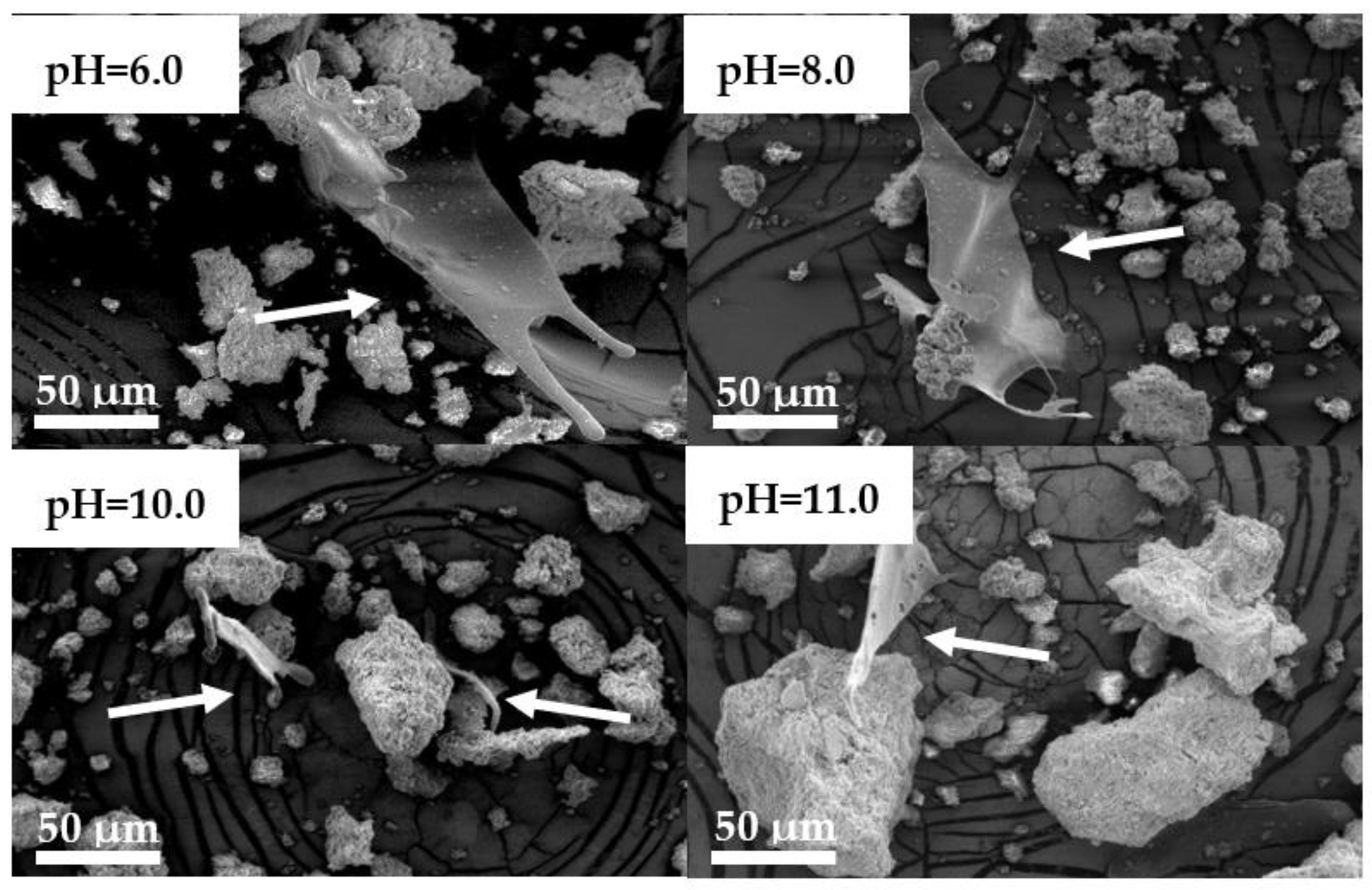 Materials 14 07191 g009