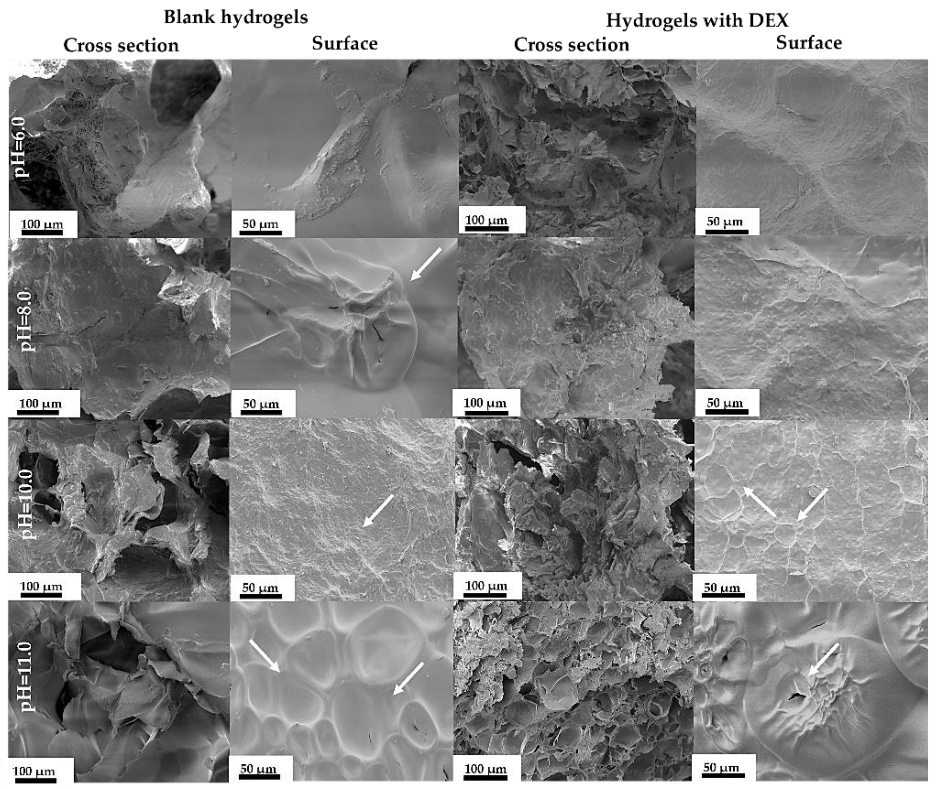 Materials 14 07191 g013