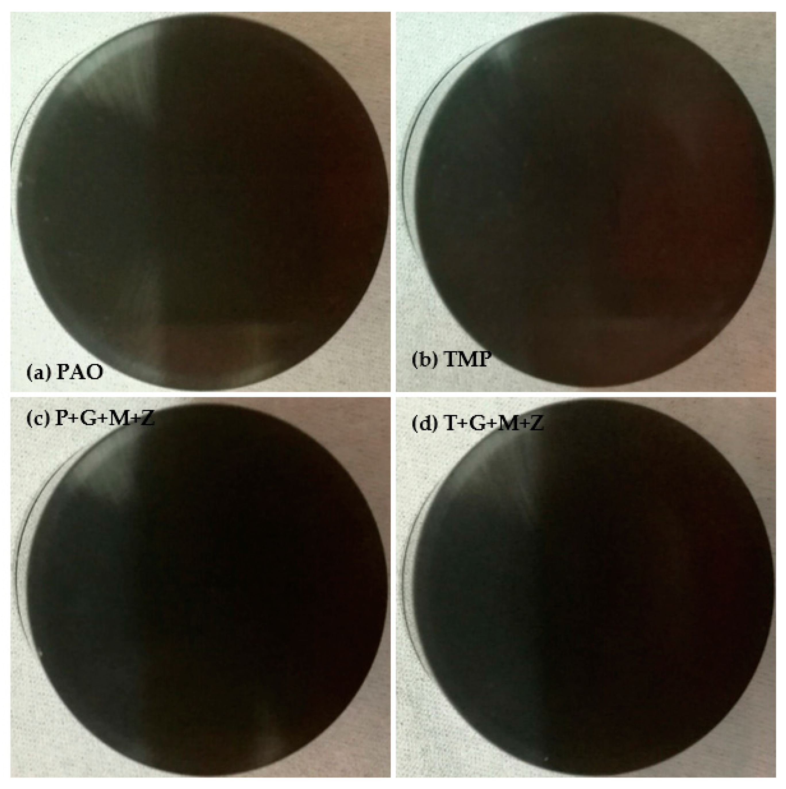 Materials 14 07206 g008