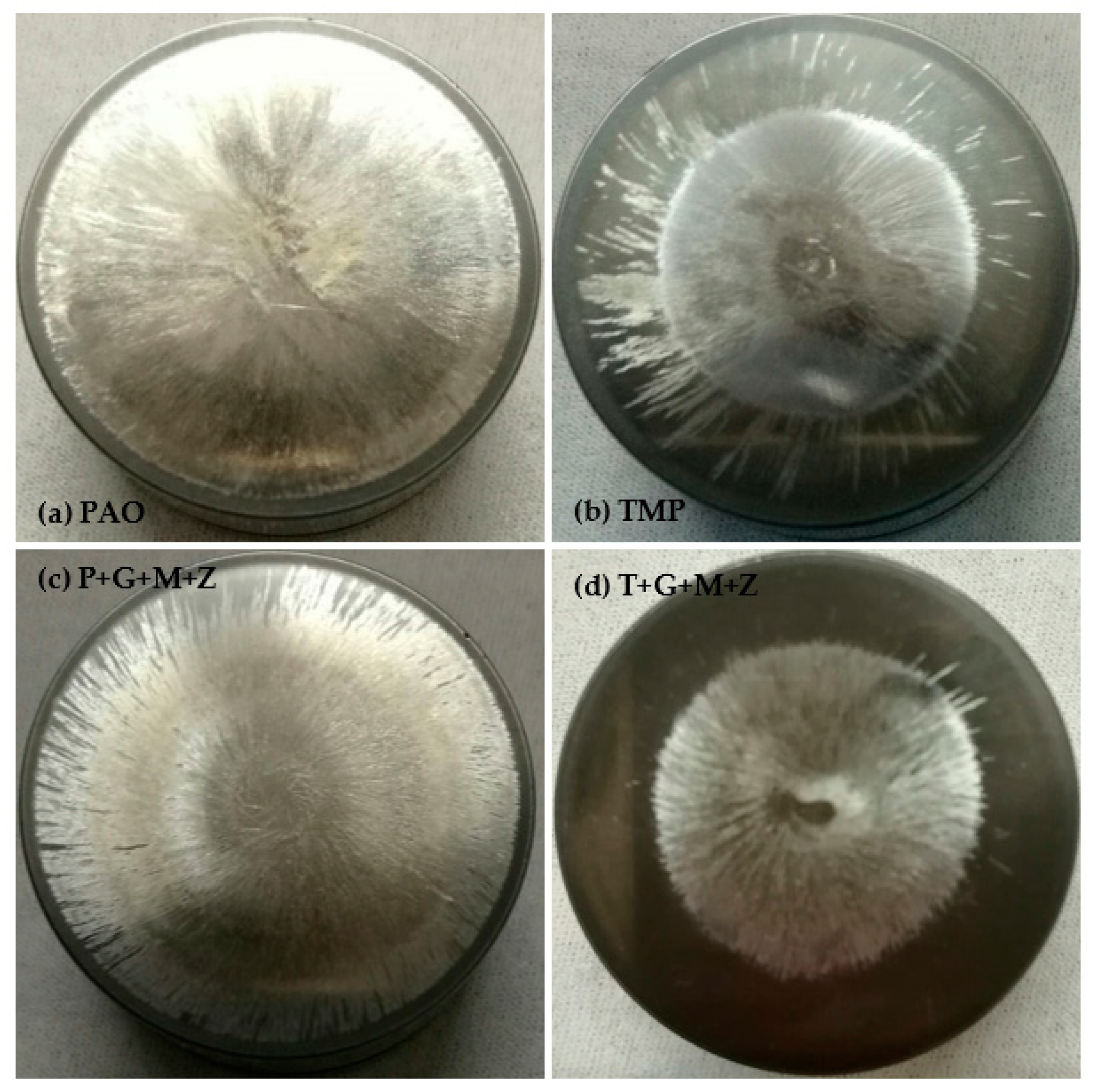 Materials 14 07206 g017