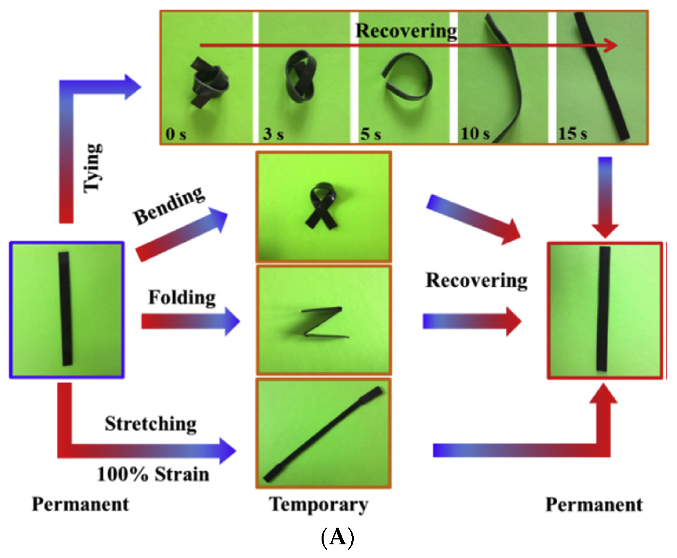Materials 14 07216 g007a 550