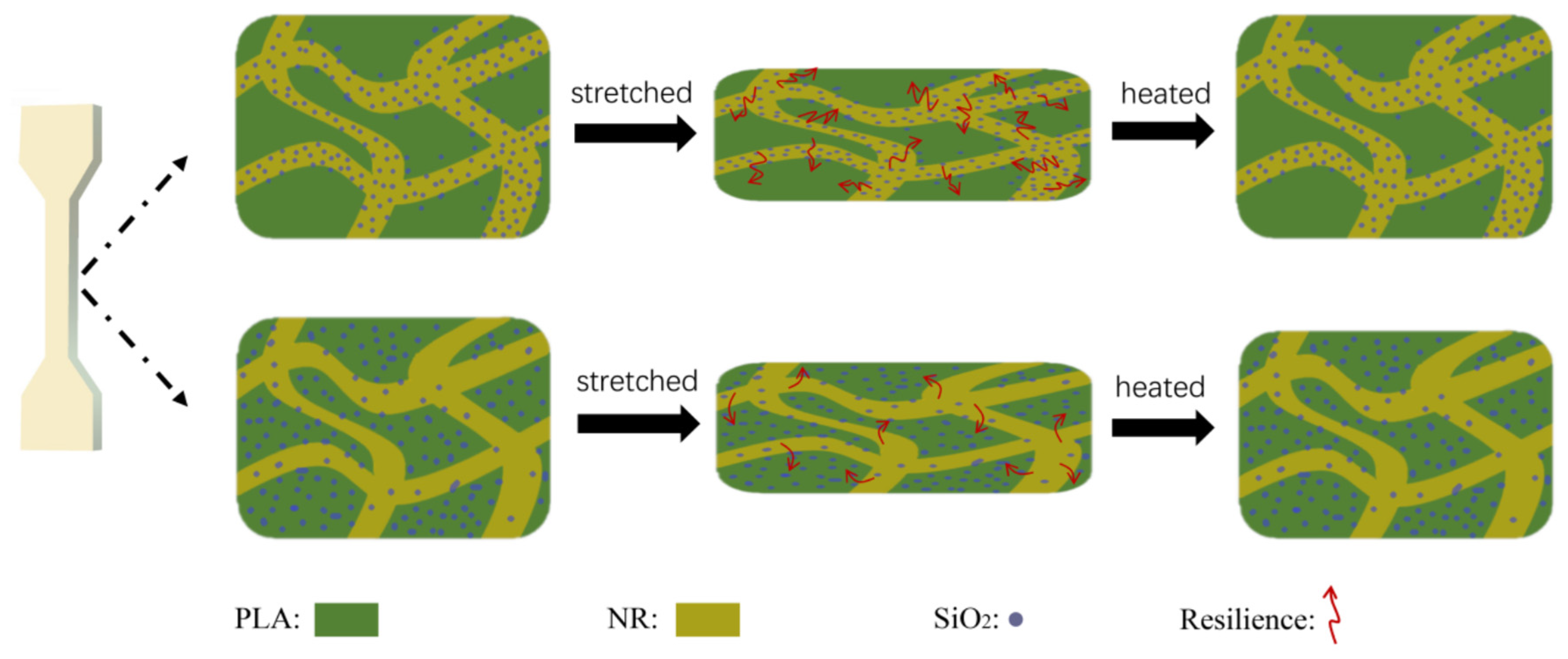 Materials 14 07216 g010 550