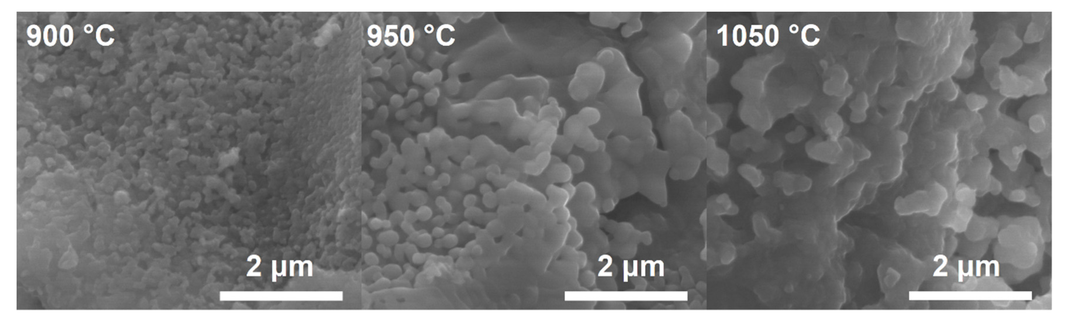 Materials 14 07227 g005 550