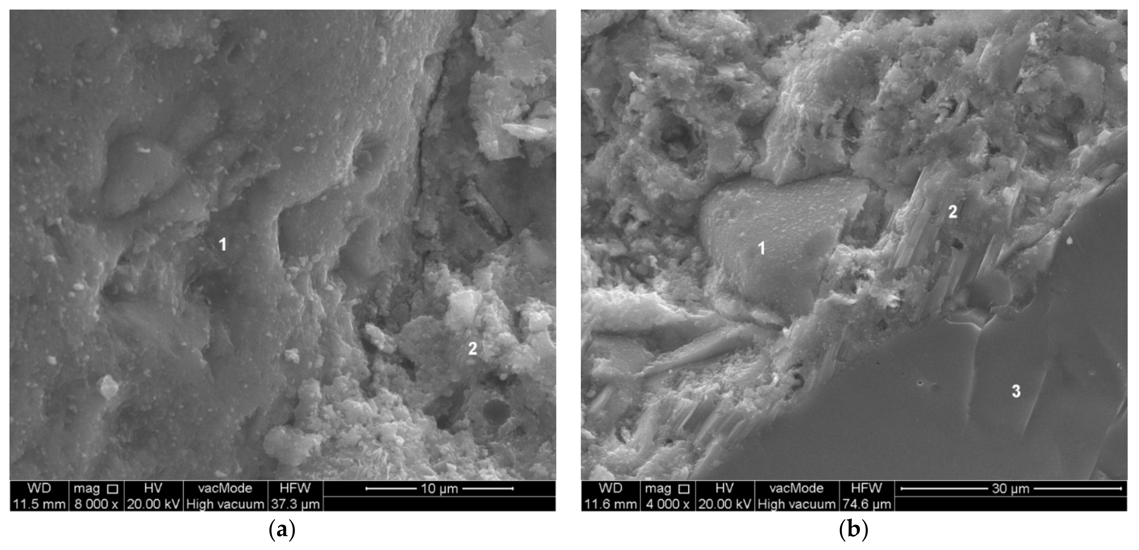 Materials 14 07254 g008 550