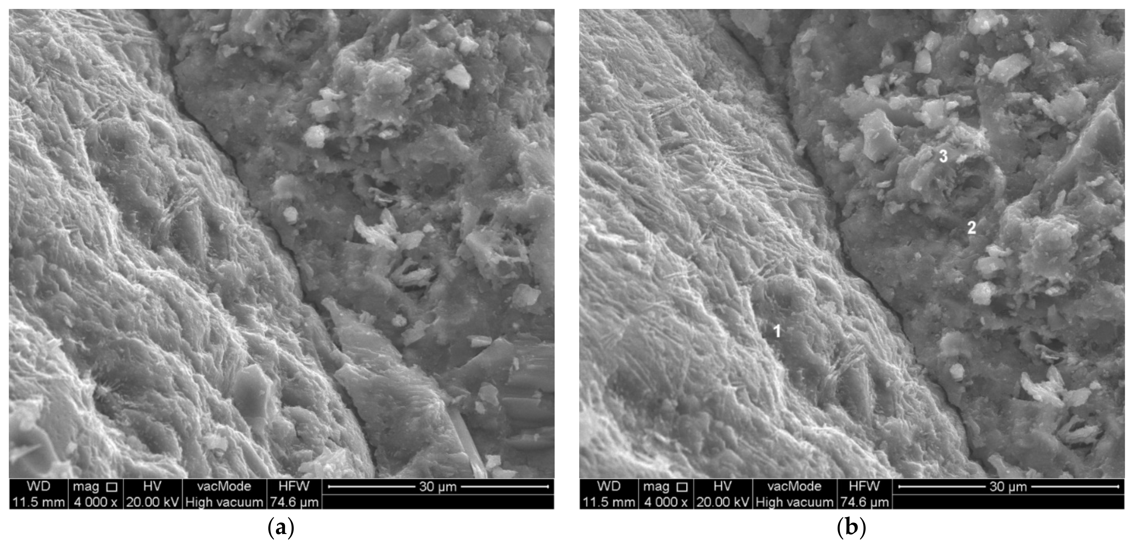 Materials 14 07254 g011 550