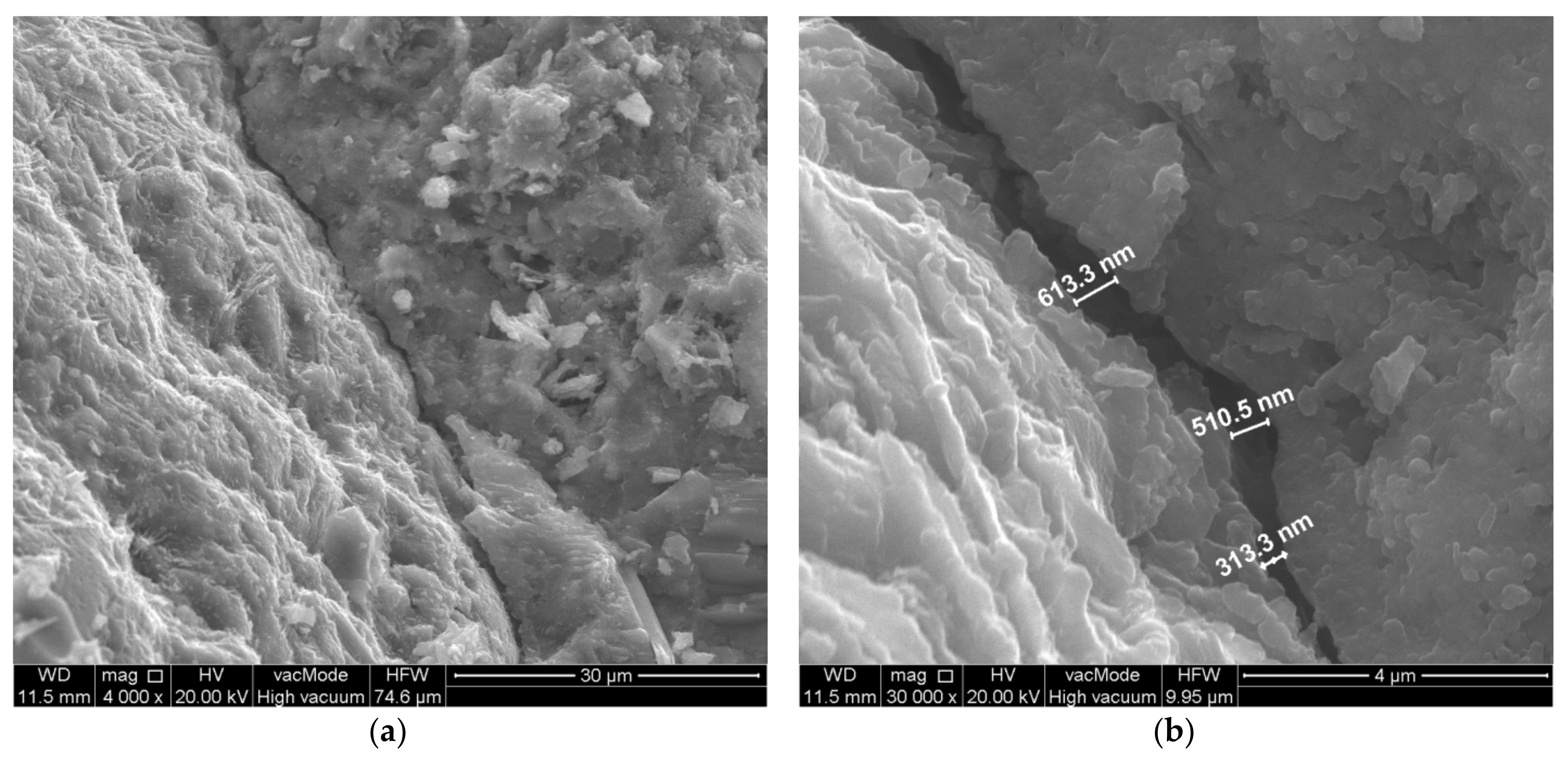 Materials 14 07254 g012 550