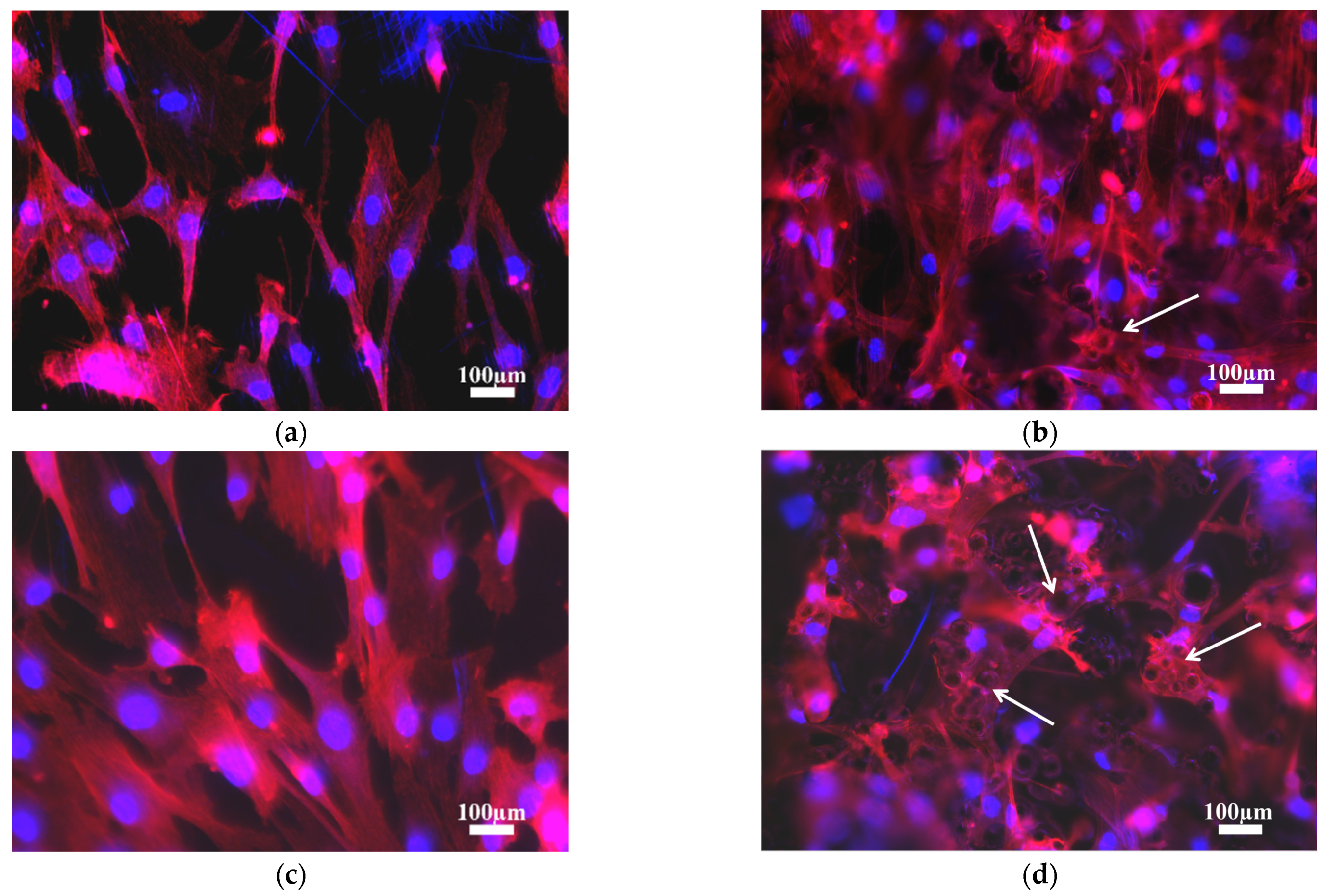 Materials 14 07260 g005 550