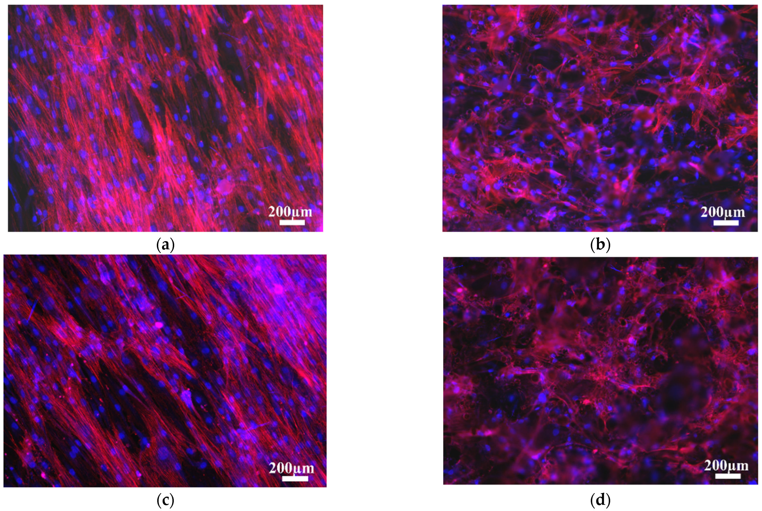 Materials 14 07260 g006 550