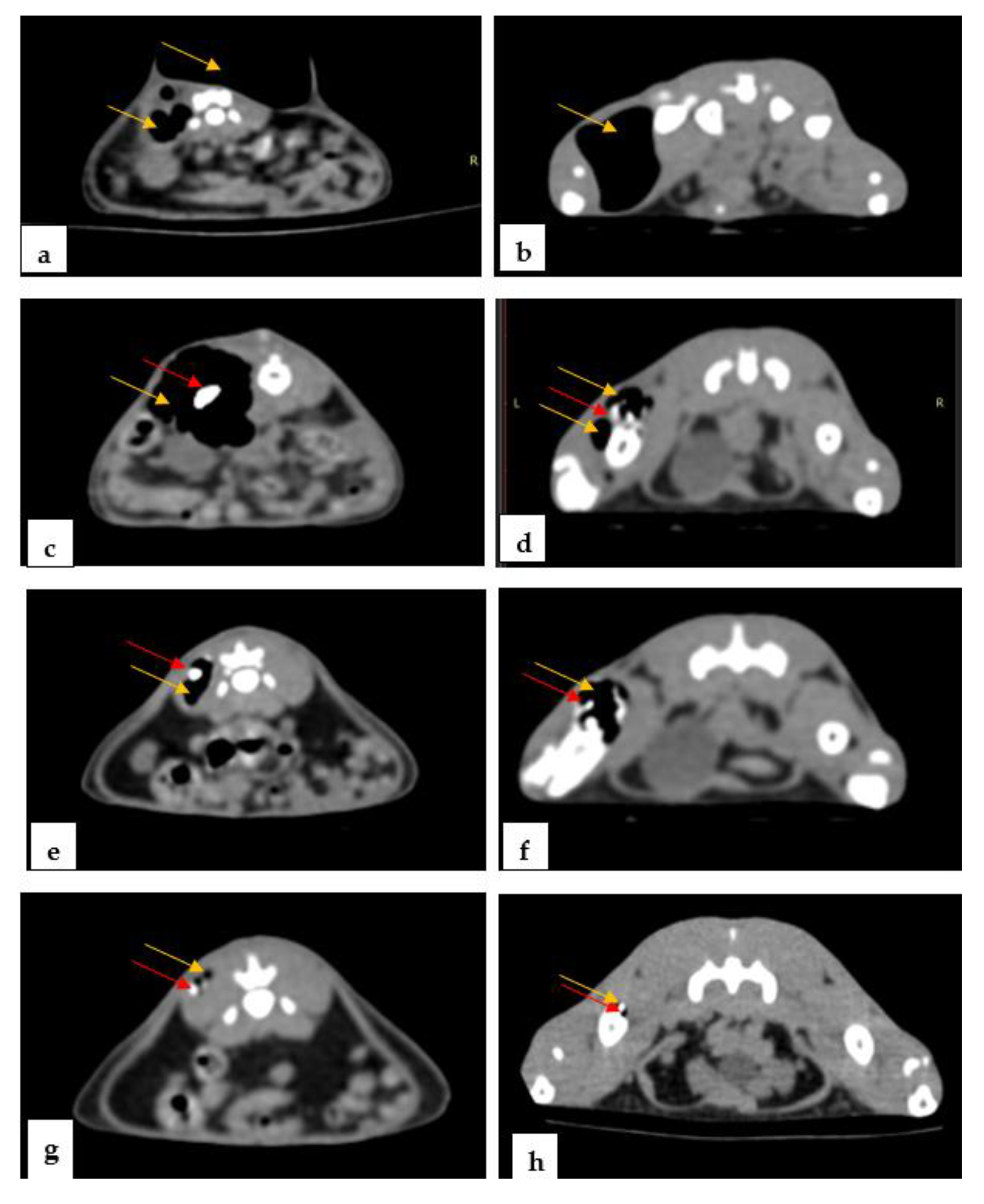 Materials 14 07262 g008