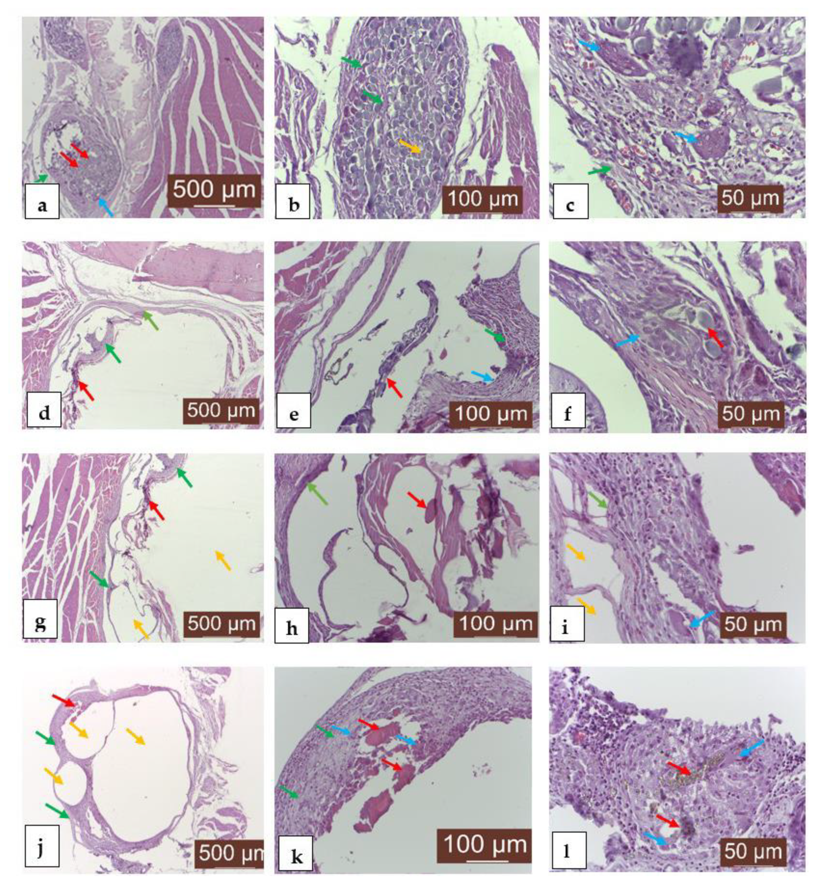 Materials 14 07262 g009