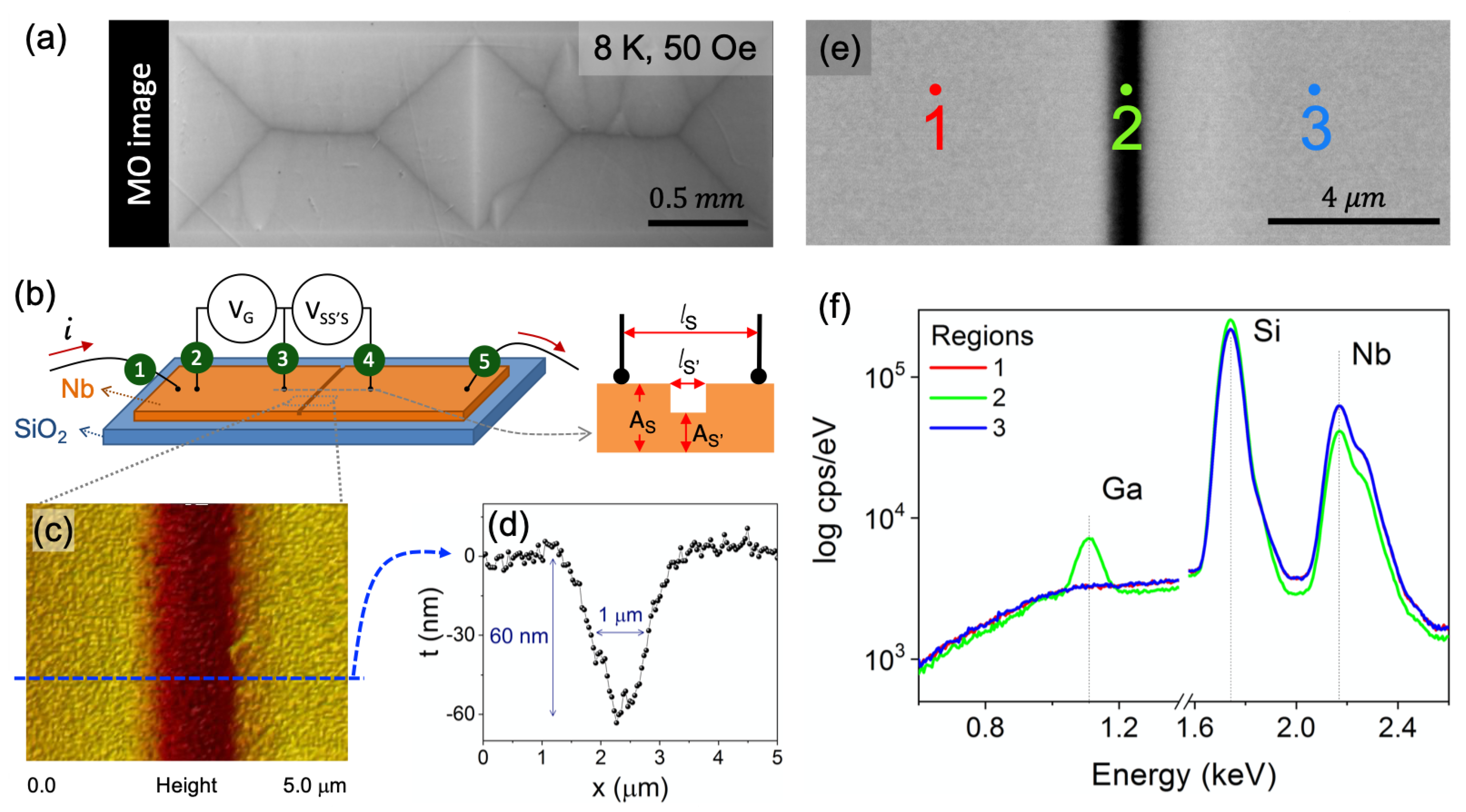 Materials 14 07274 g001 Materials 14 07274 g001