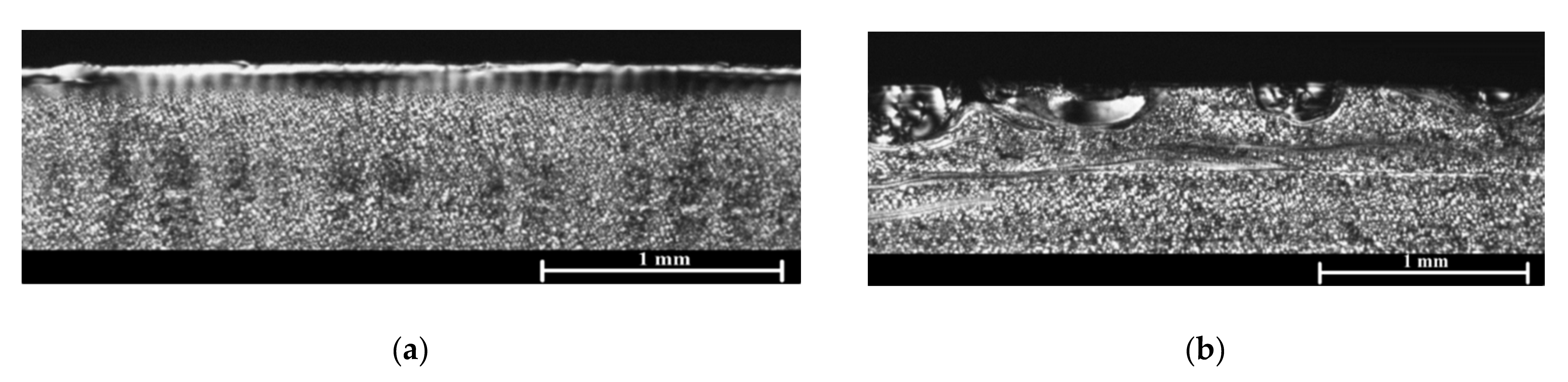 Materials 14 07299 g006