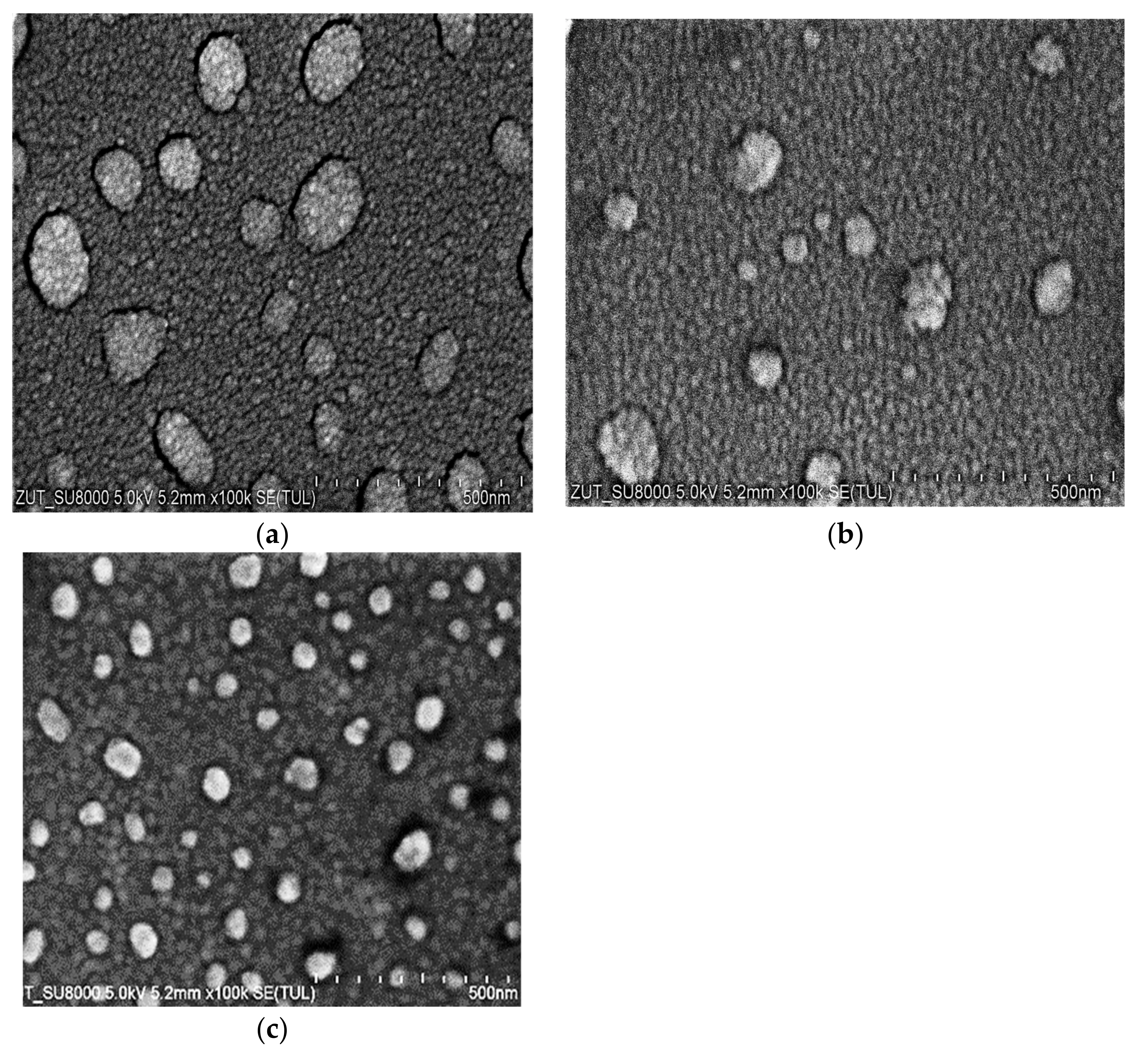 Materials 14 07301 g002 550