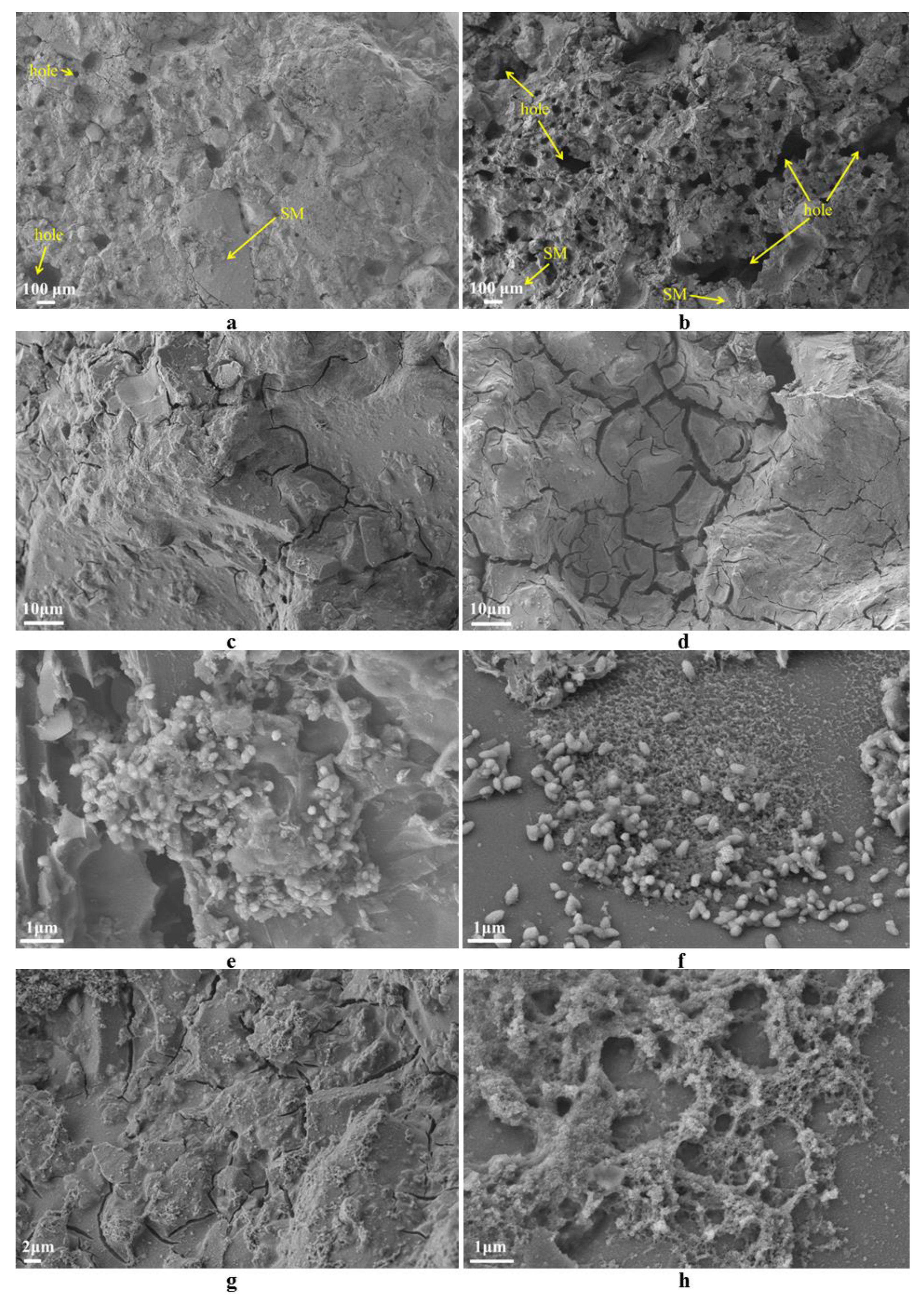 Materials 14 07303 g014