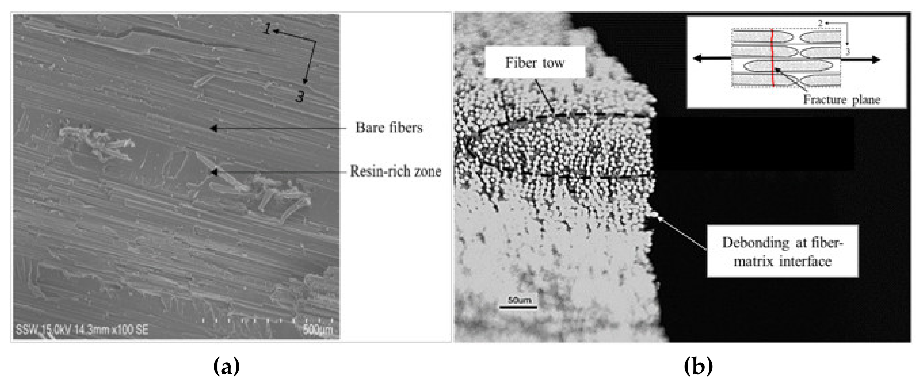 Materials 14 07314 g014