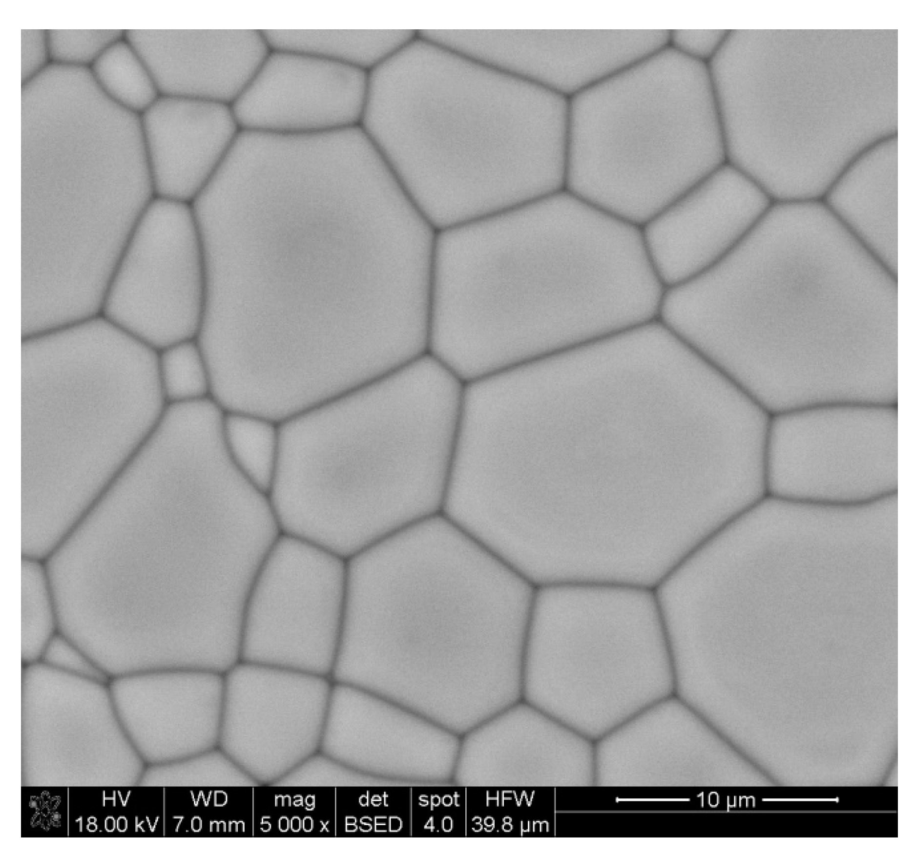 Materials 14 07316 g005 550