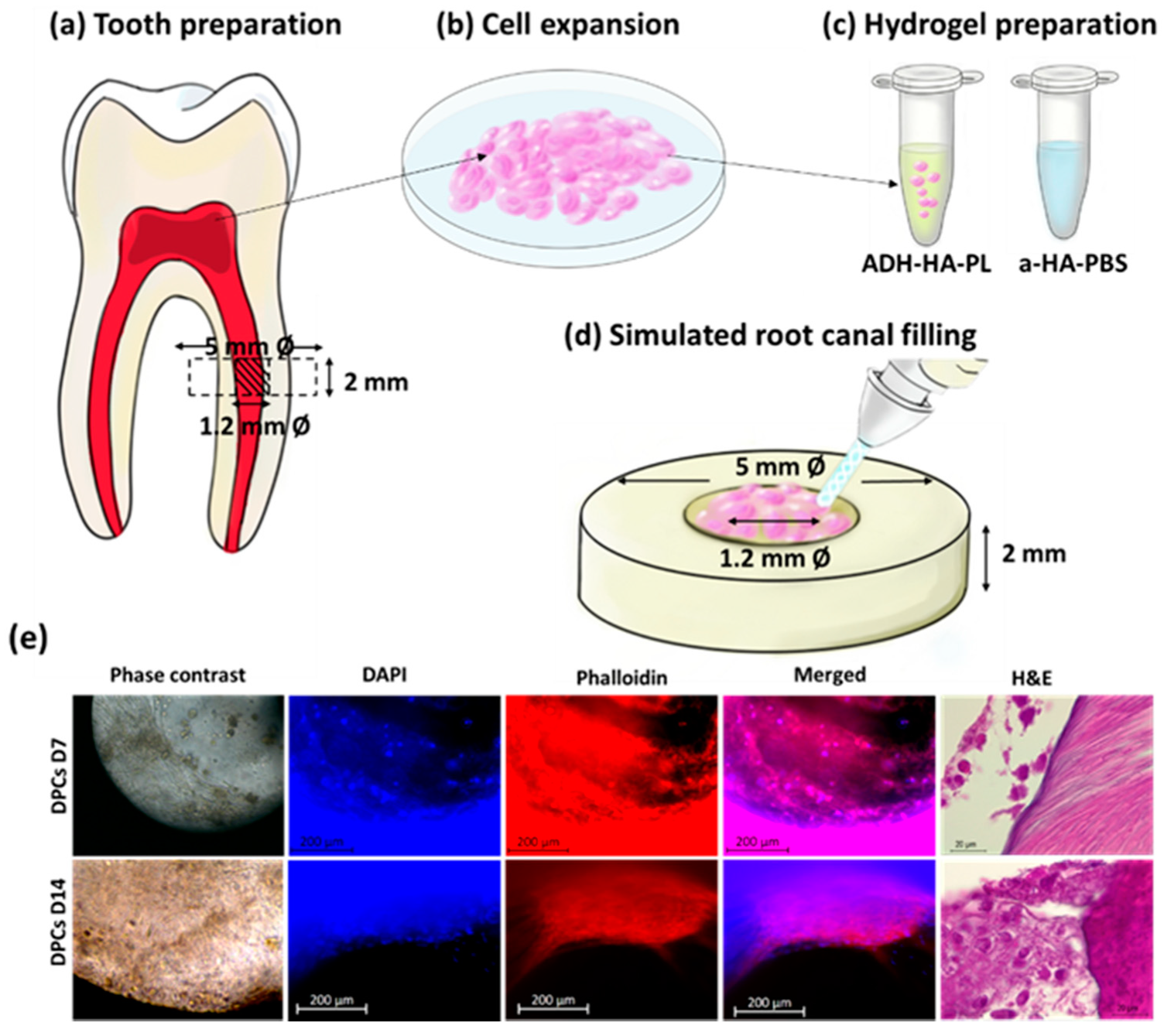 Materials 14 07325 g004