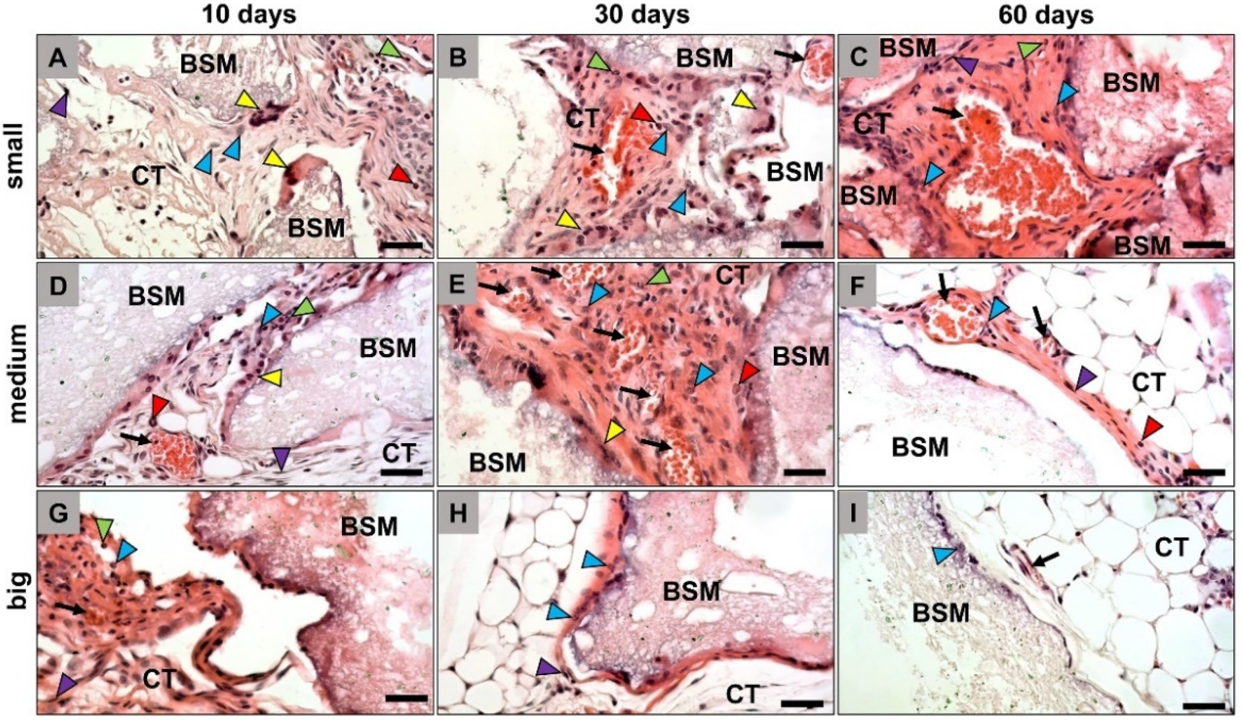 Materials 14 07372 g001
