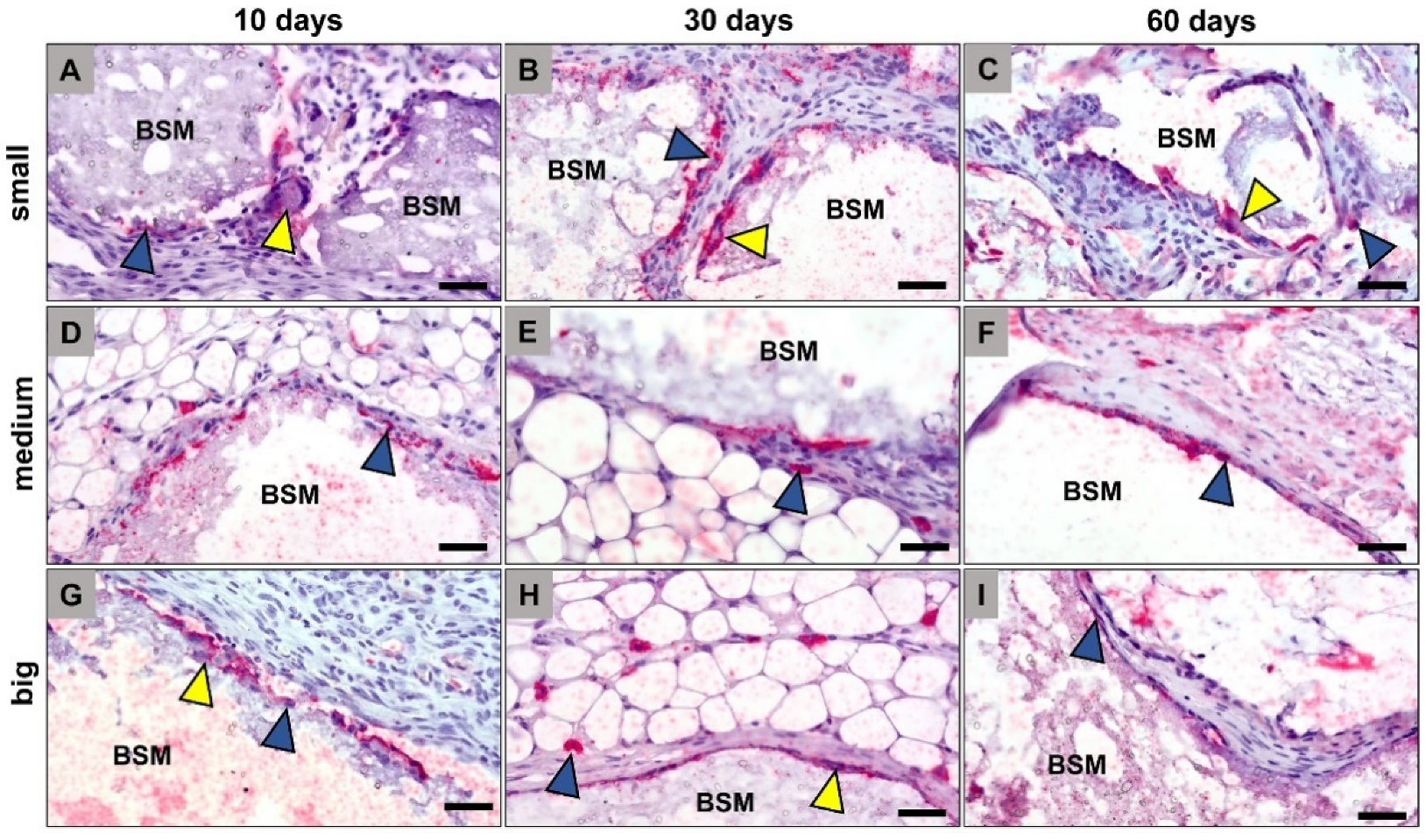 Materials 14 07372 g003