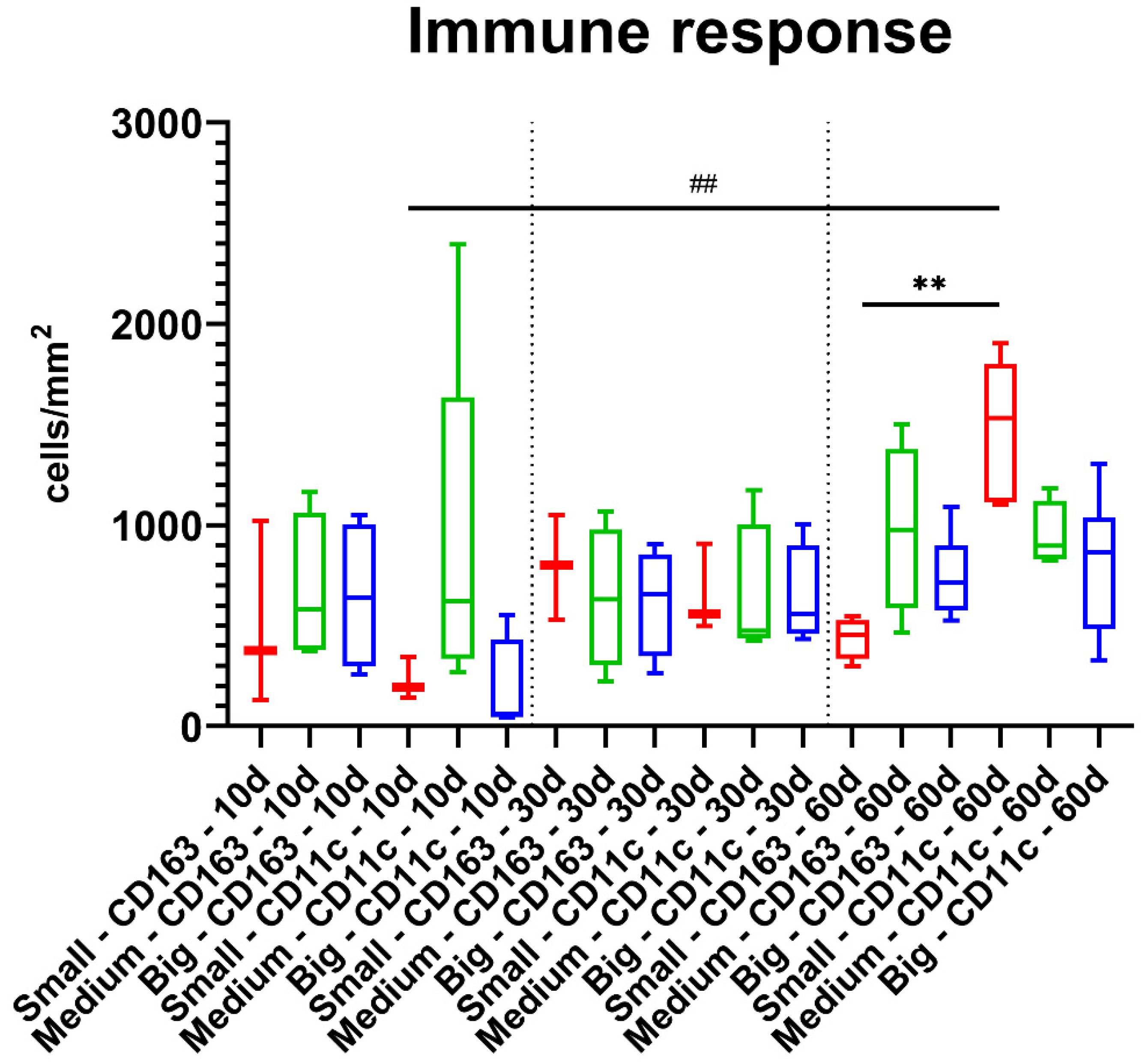 Materials 14 07372 g004