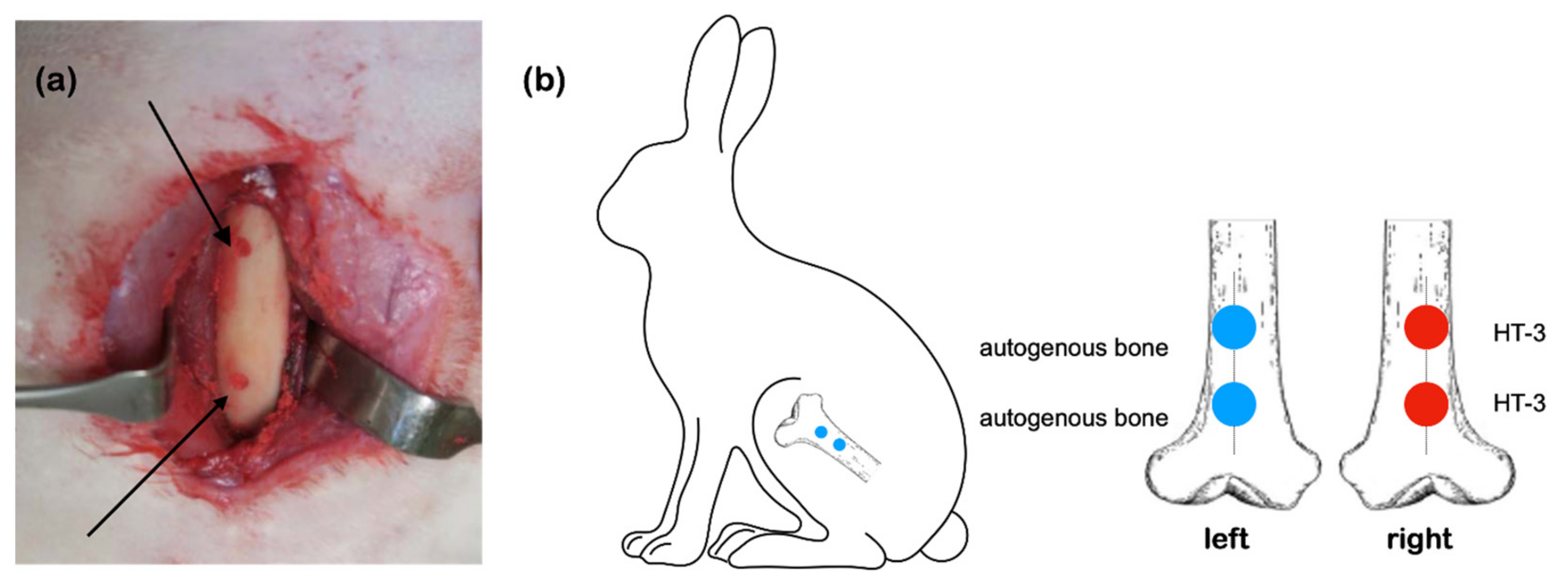 Materials 14 07374 g001