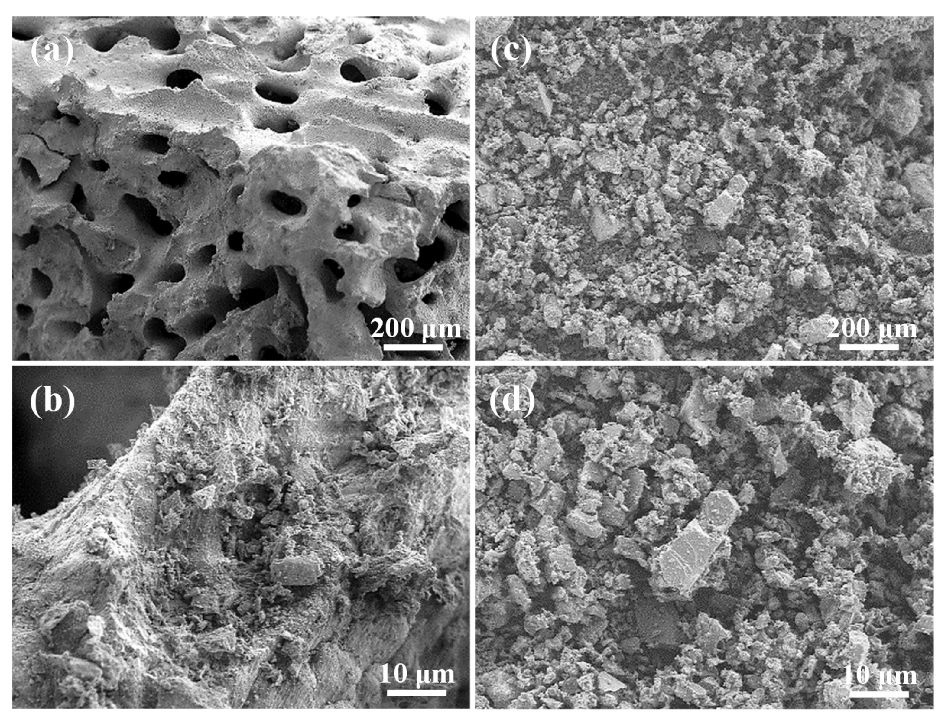 Materials 14 07374 g002