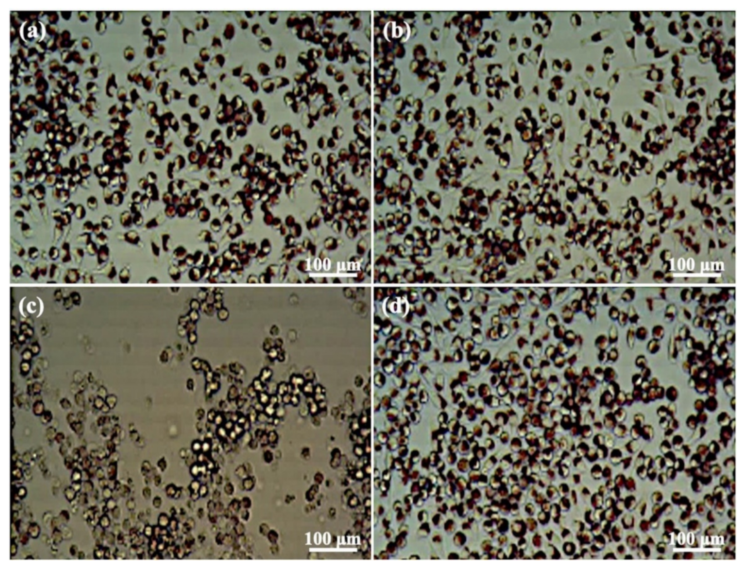 Materials 14 07374 g008