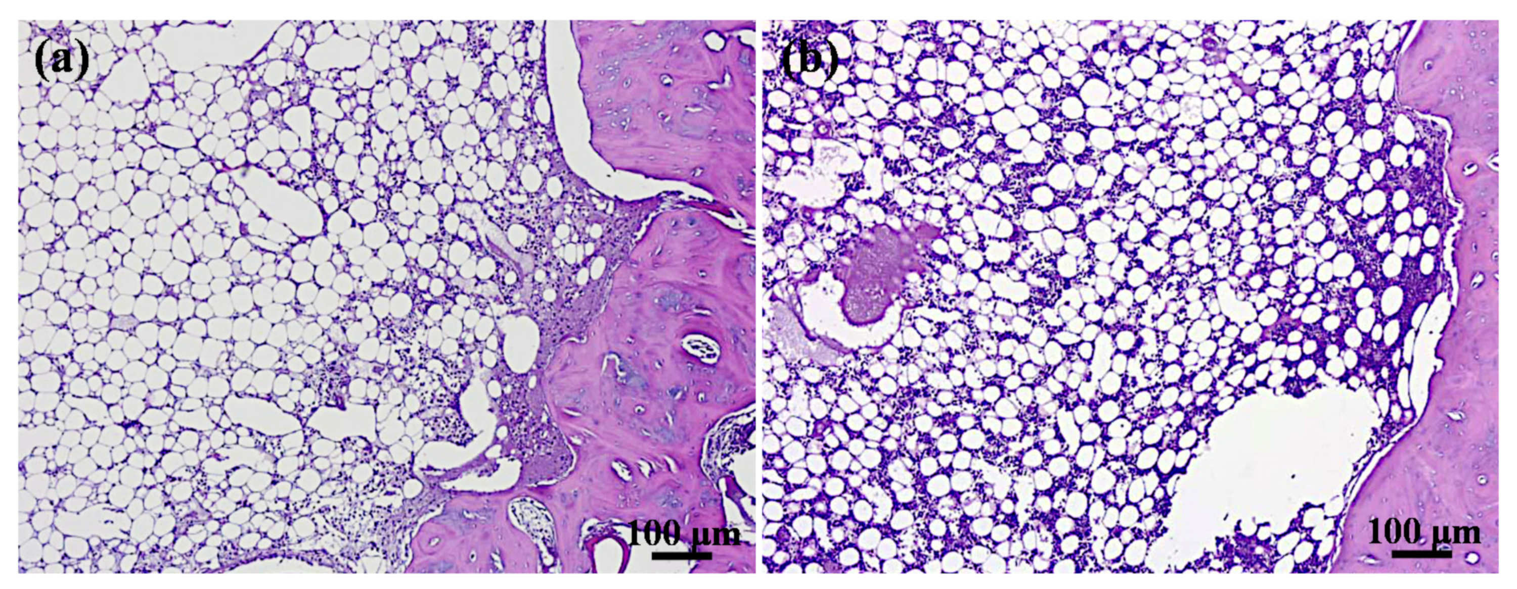 Materials 14 07374 g009