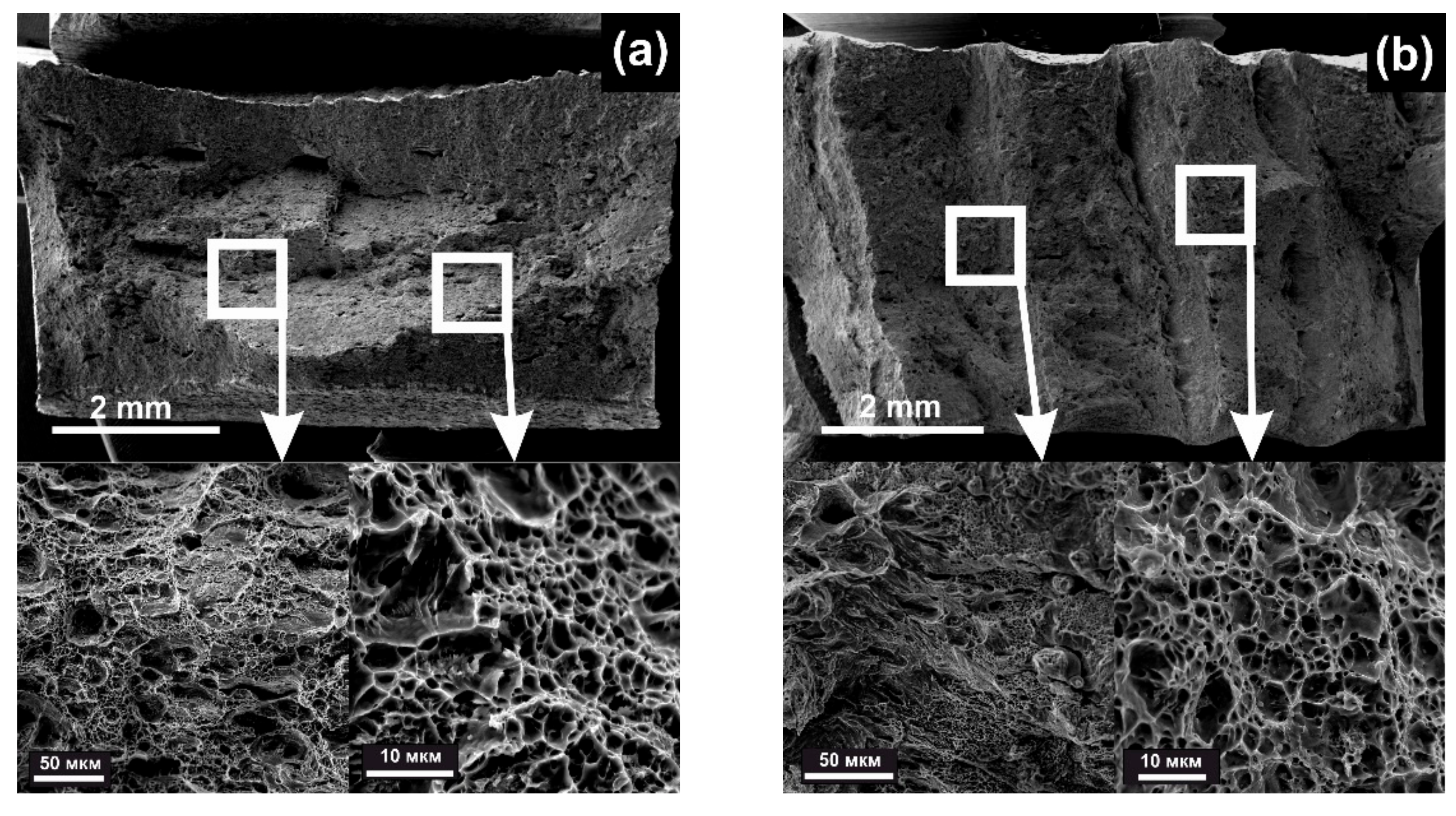 Materials 14 07393 g006a 550