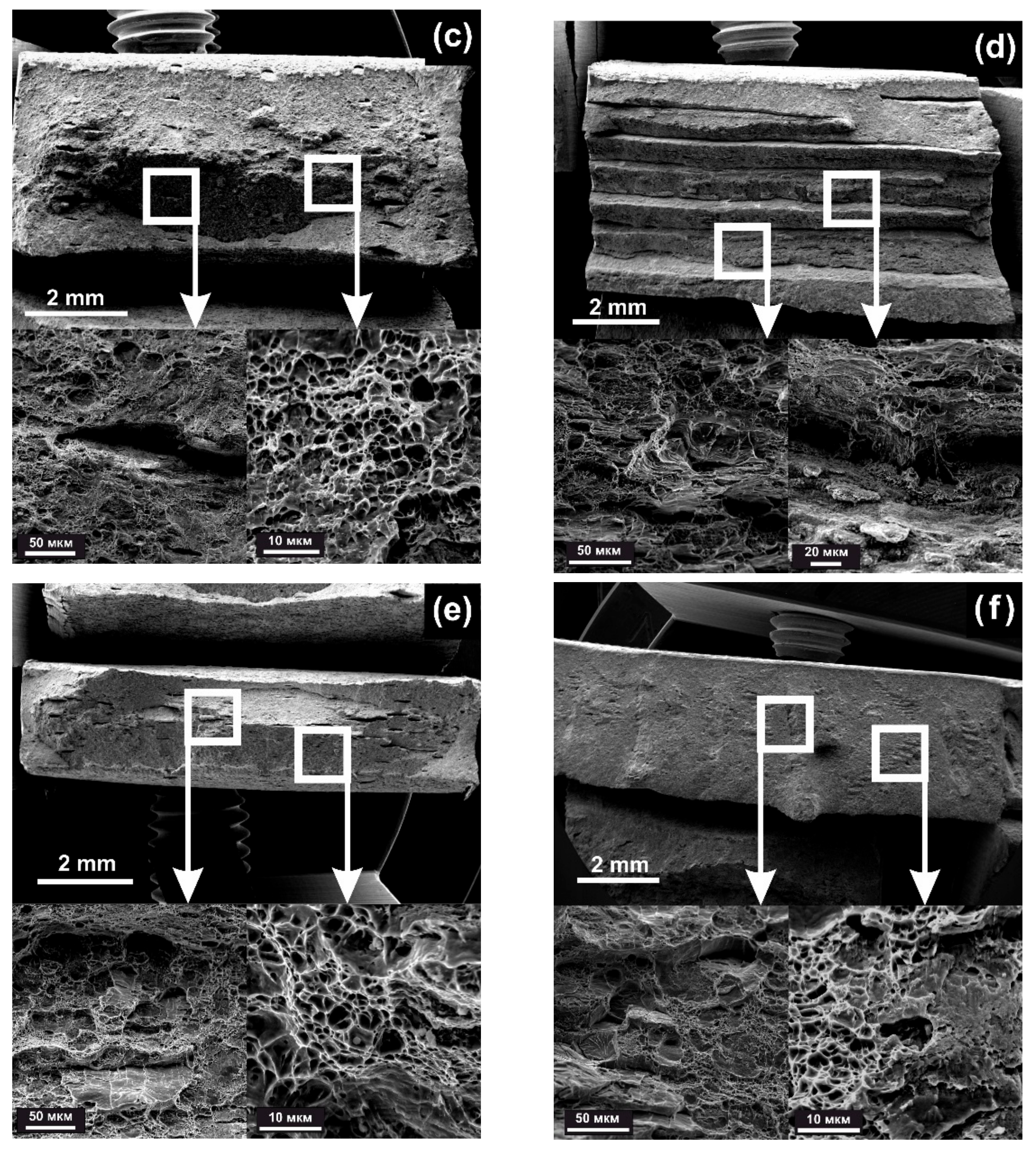 Materials 14 07393 g006b 550