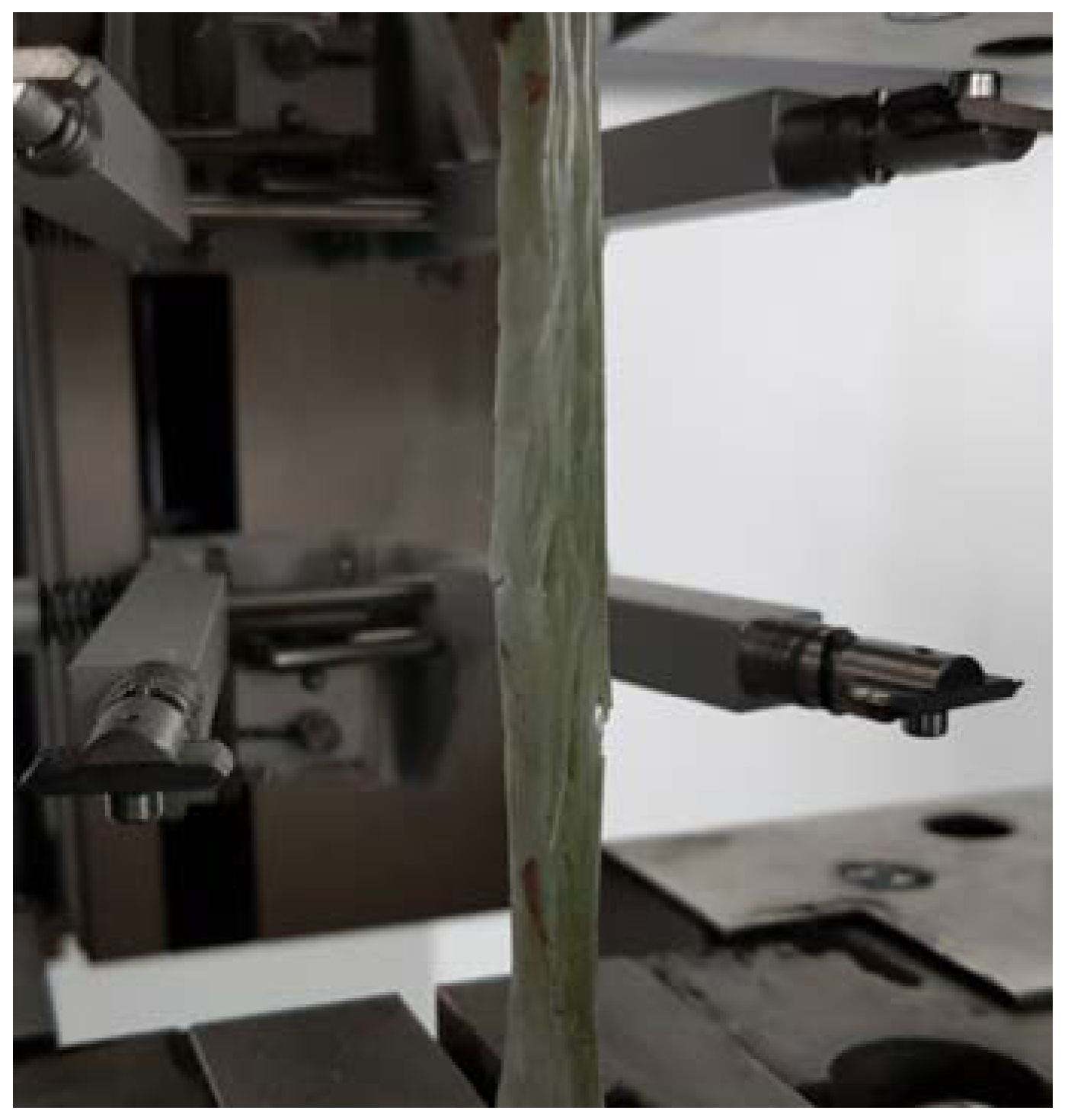 Materials 14 07398 g004 550