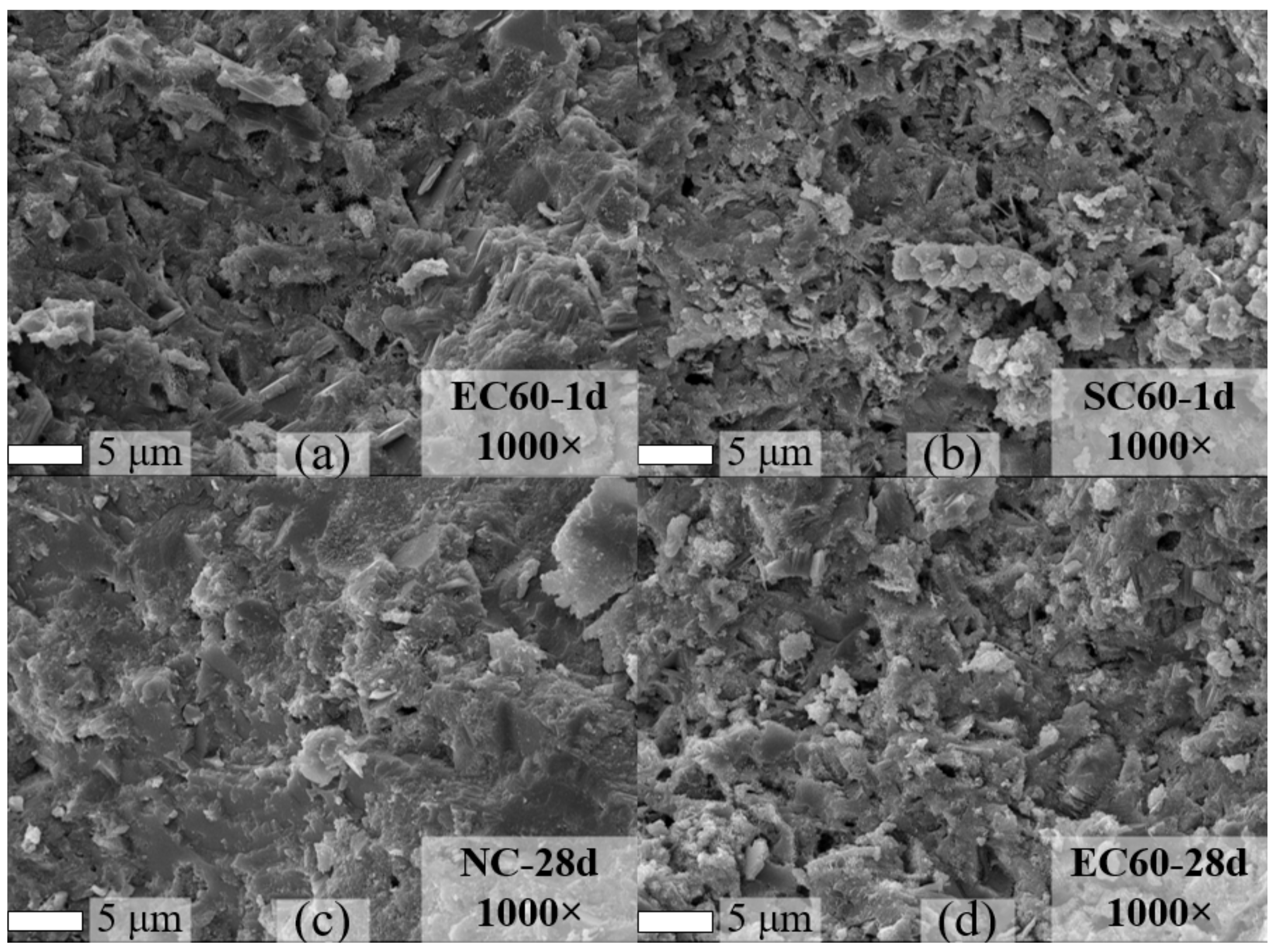 Materials 14 07407 g012