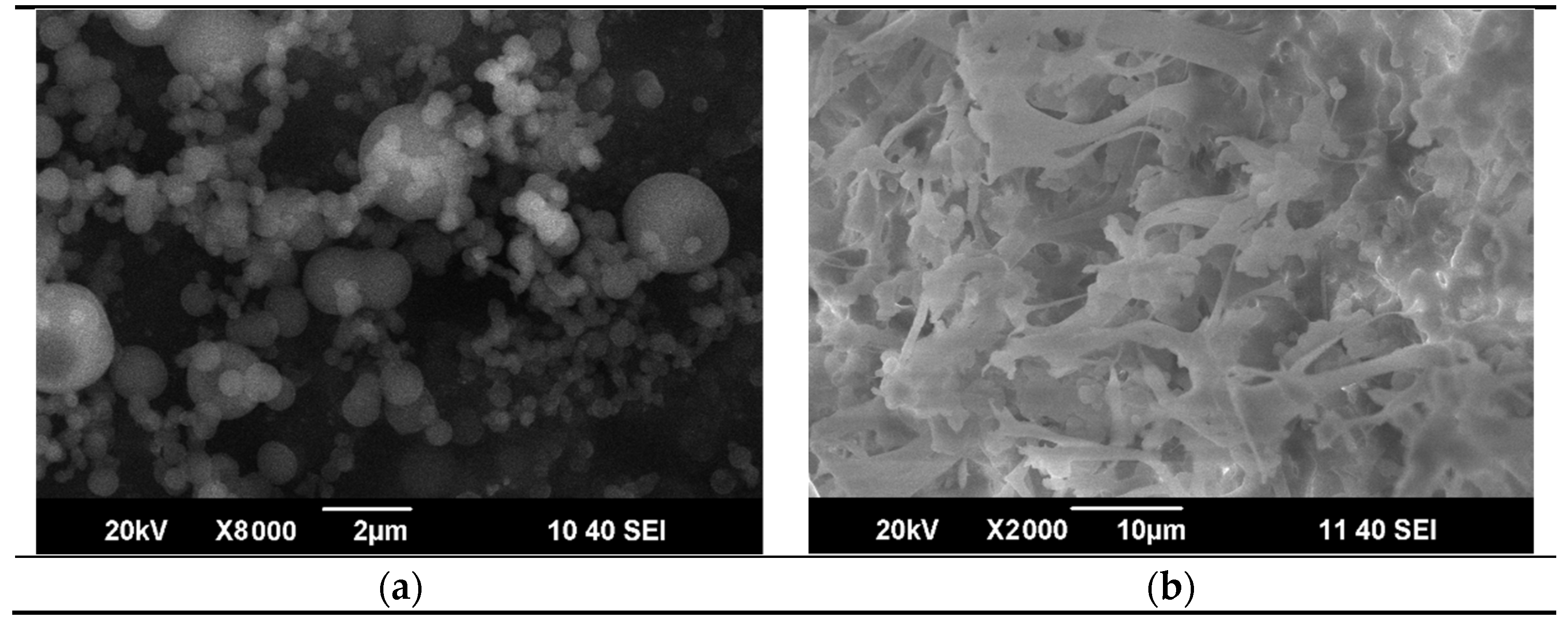 Materials 14 07428 g004