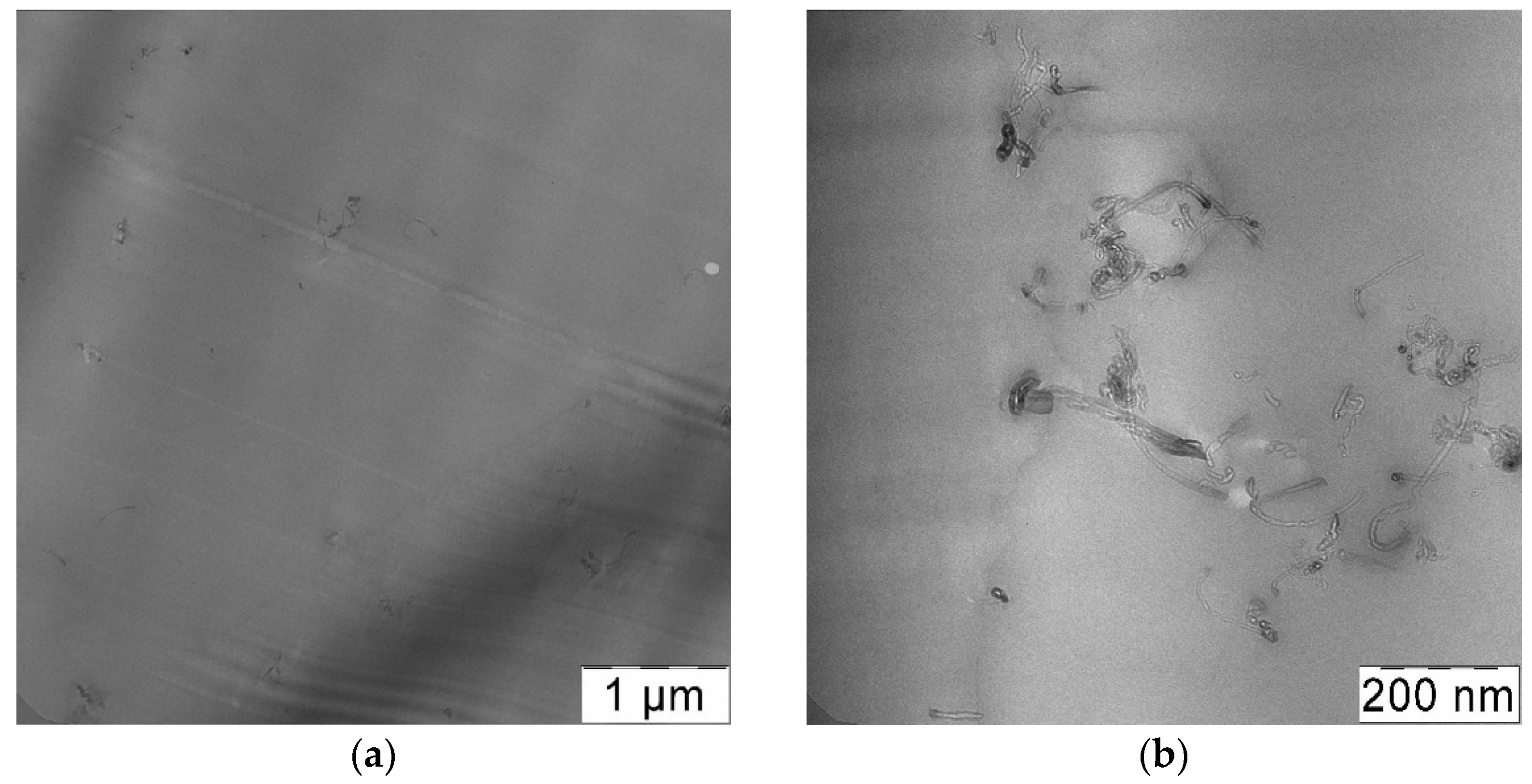 Materials 14 07428 g011a