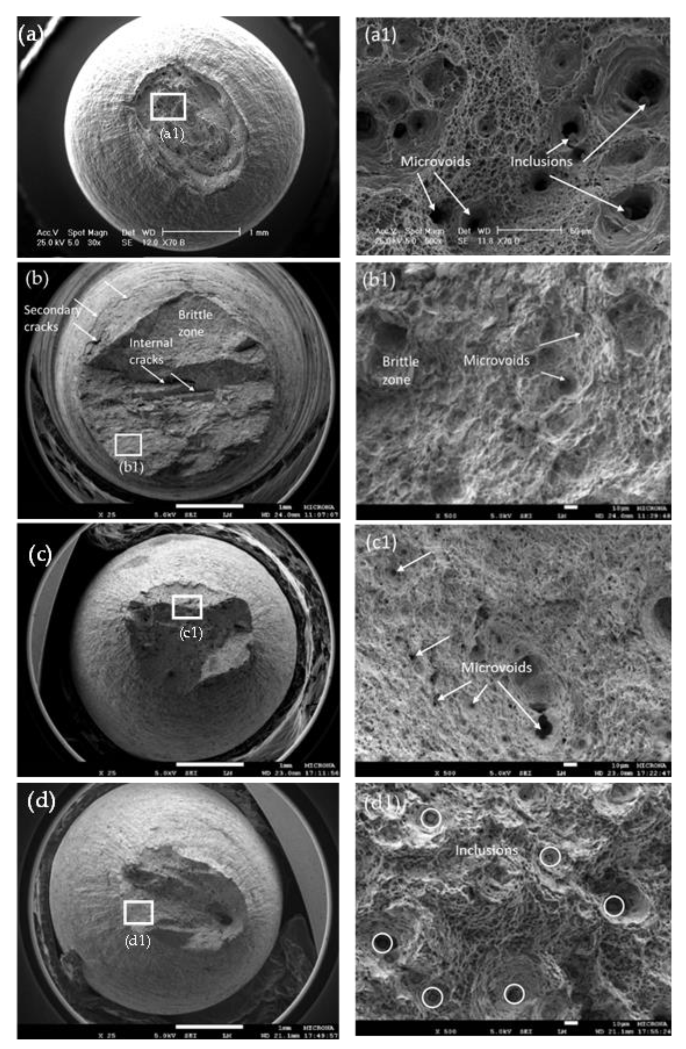 Materials 14 07445 g003