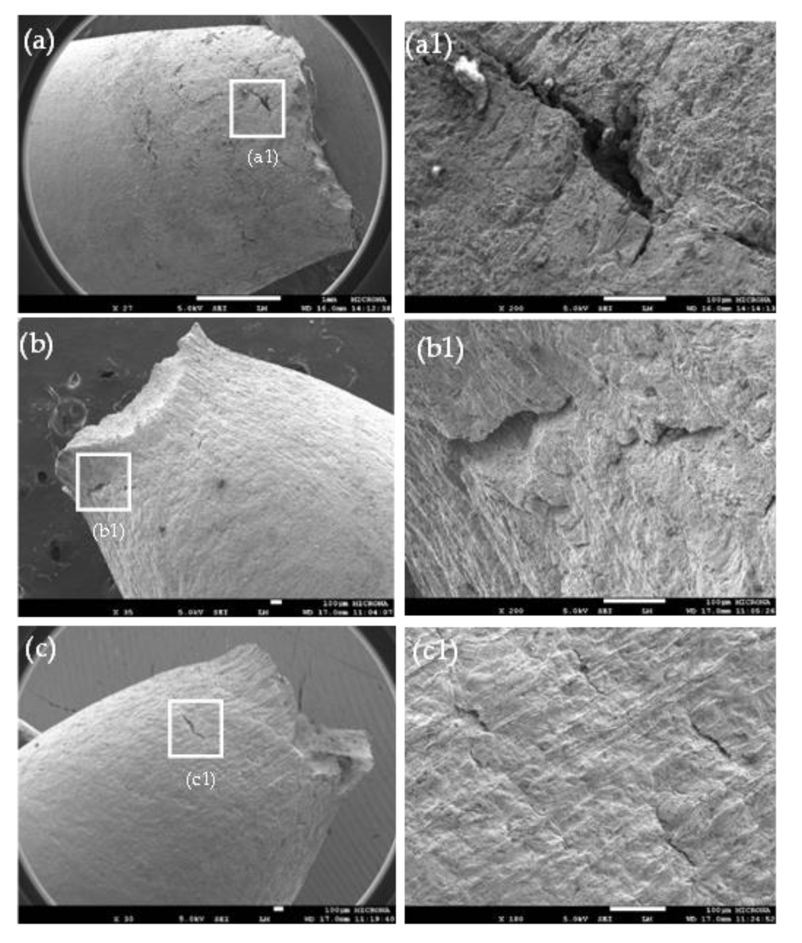 Materials 14 07445 g004