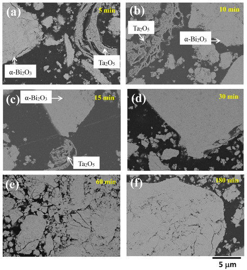 Materials Free FullText Effect of Tantalum Pentoxide Addition on