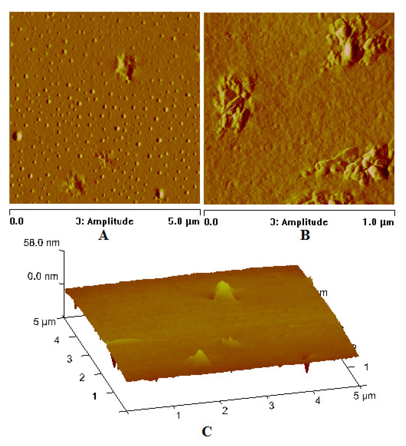 Materials 14 07451 g017 Materials 14 07451 g017