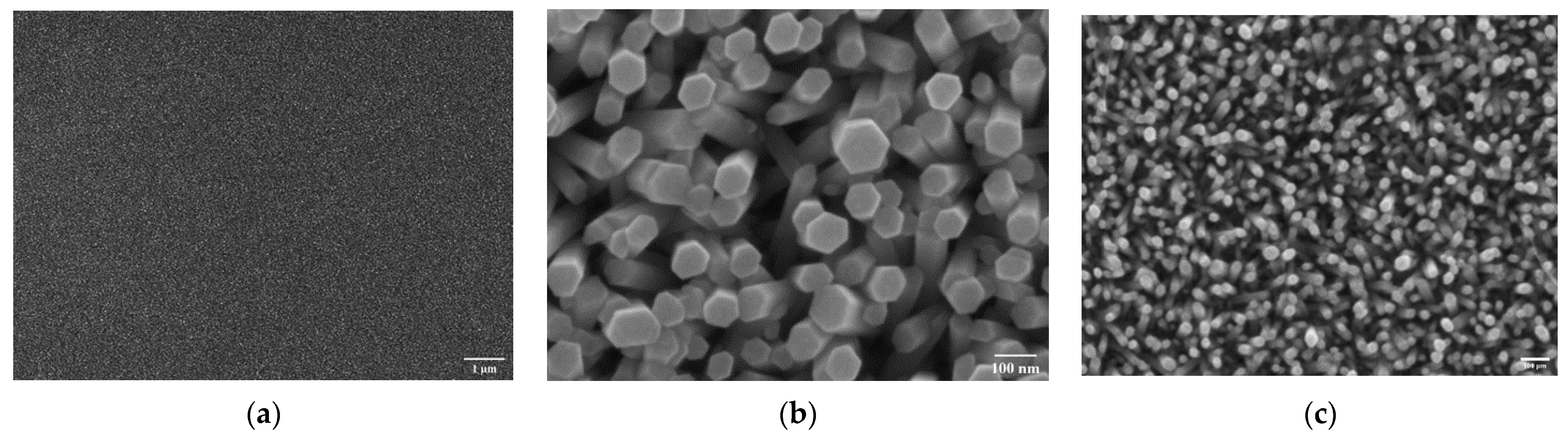 Materials 14 07454 g002