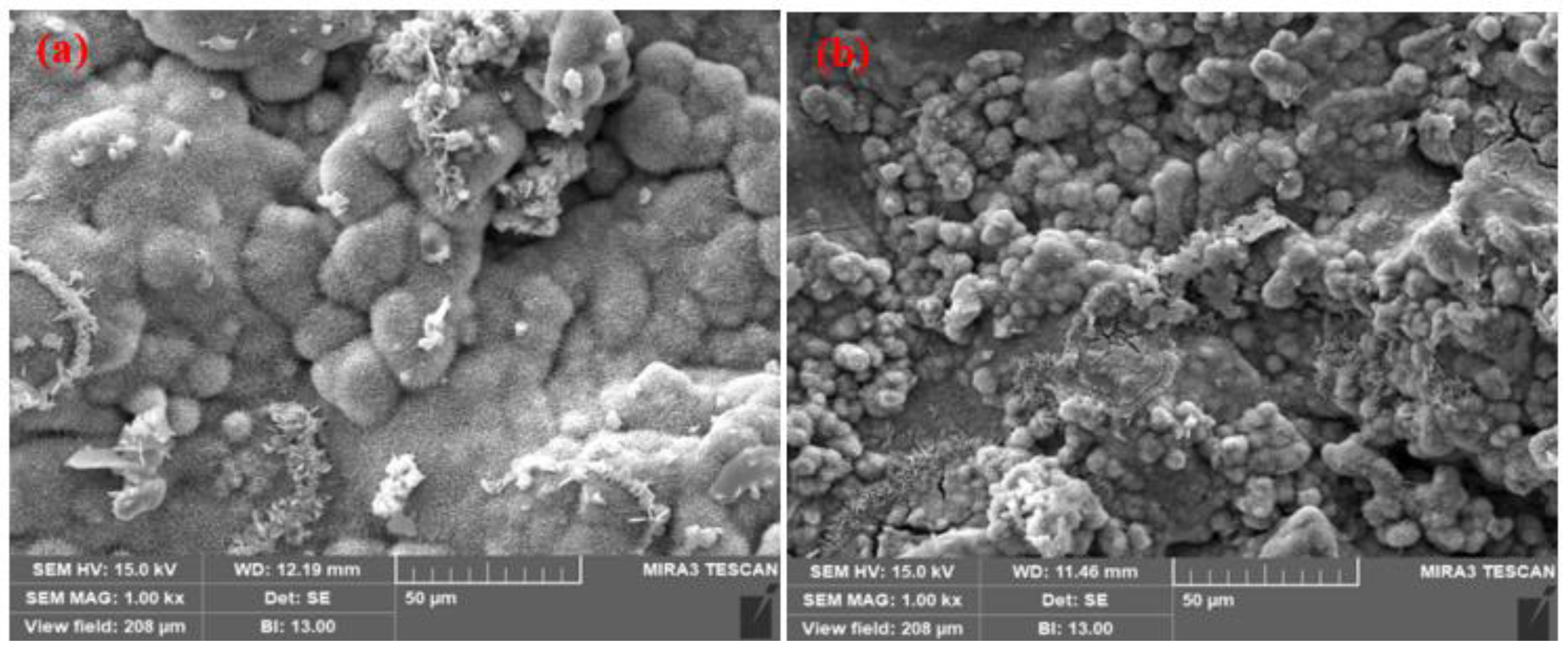 Materials 14 07464 g011