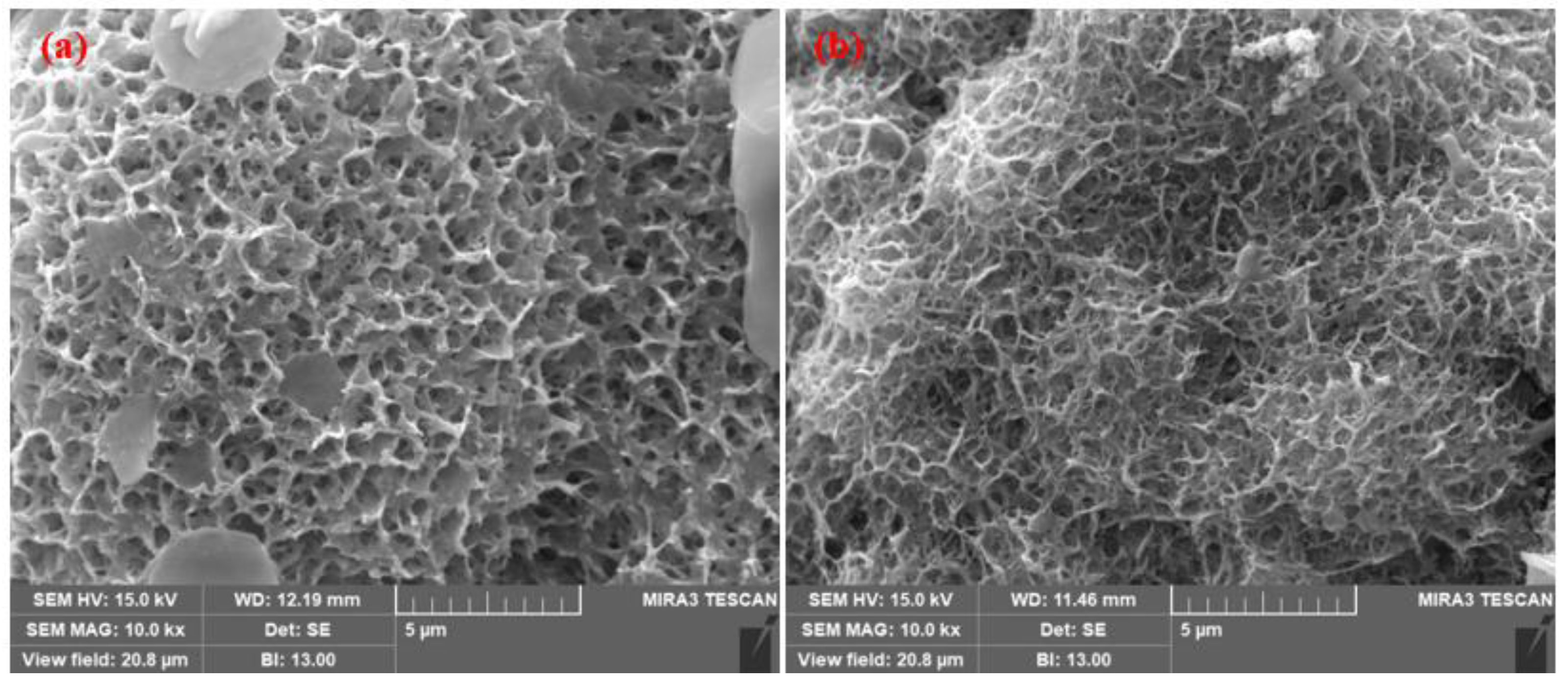 Materials 14 07464 g012