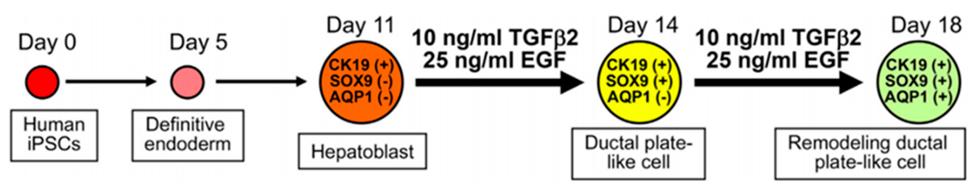 Materials 14 07468 g003
