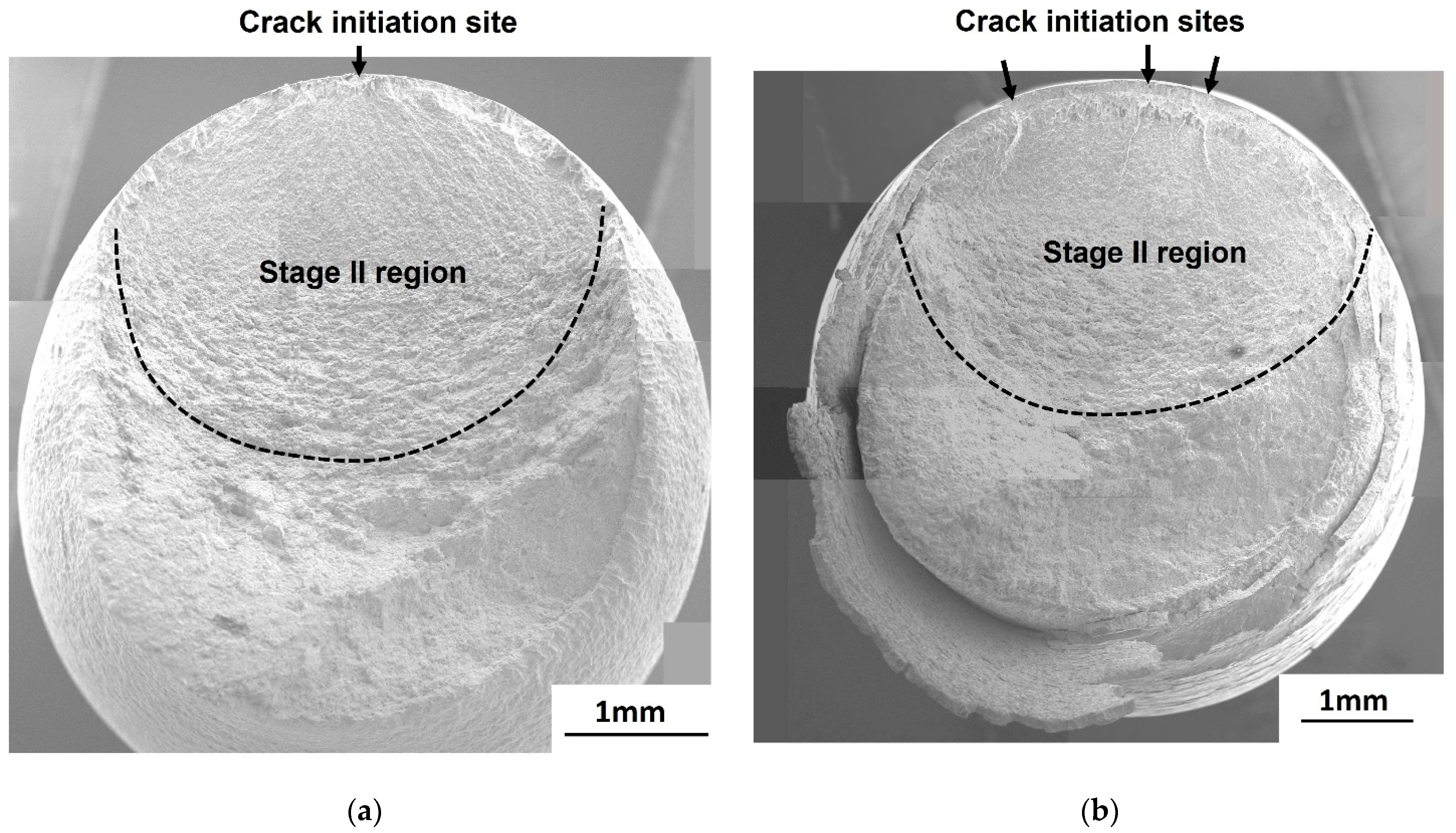 Materials 14 07480 g007 Materials 14 07480 g007