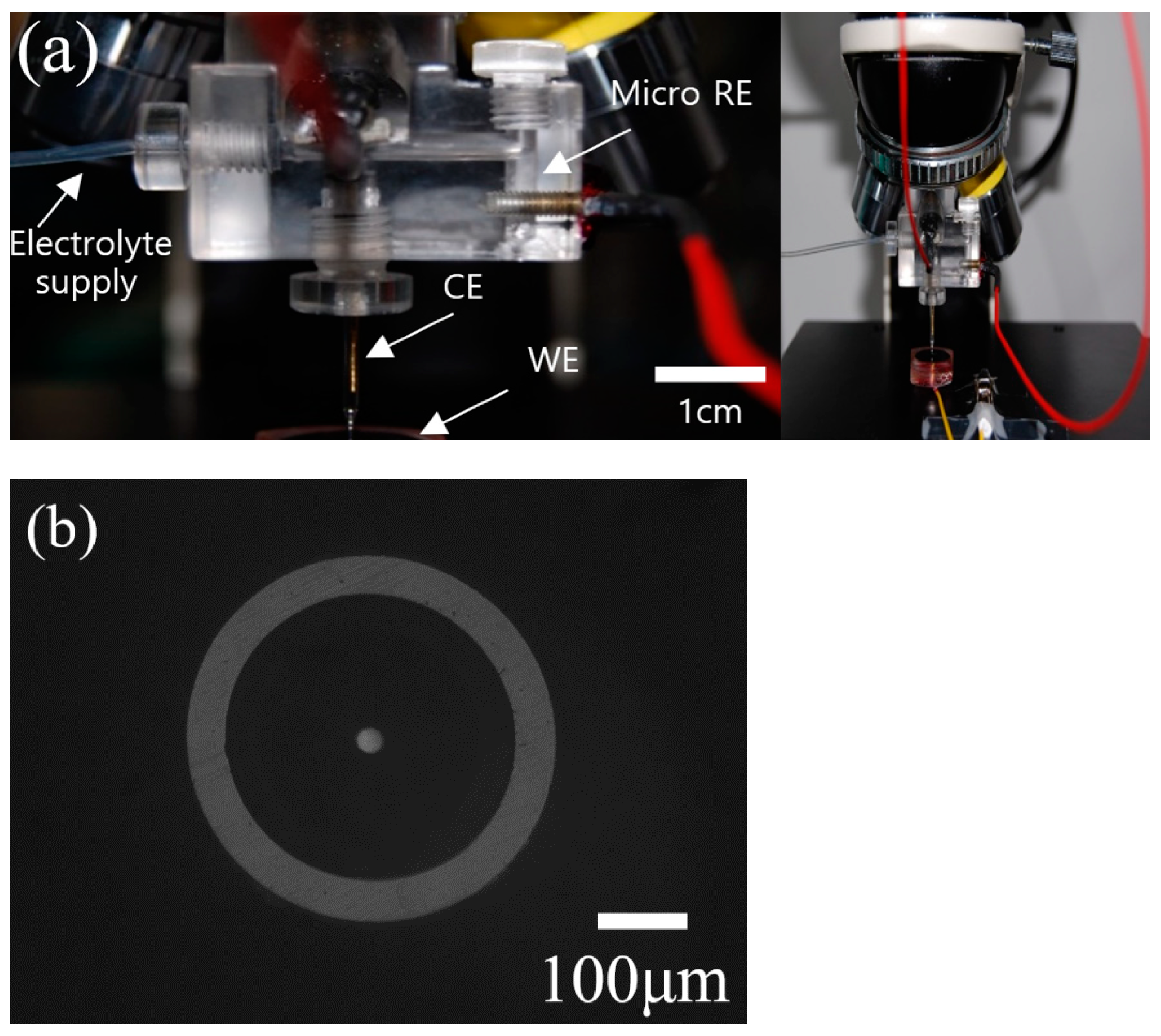 Materials 14 07481 g001 Materials 14 07481 g001